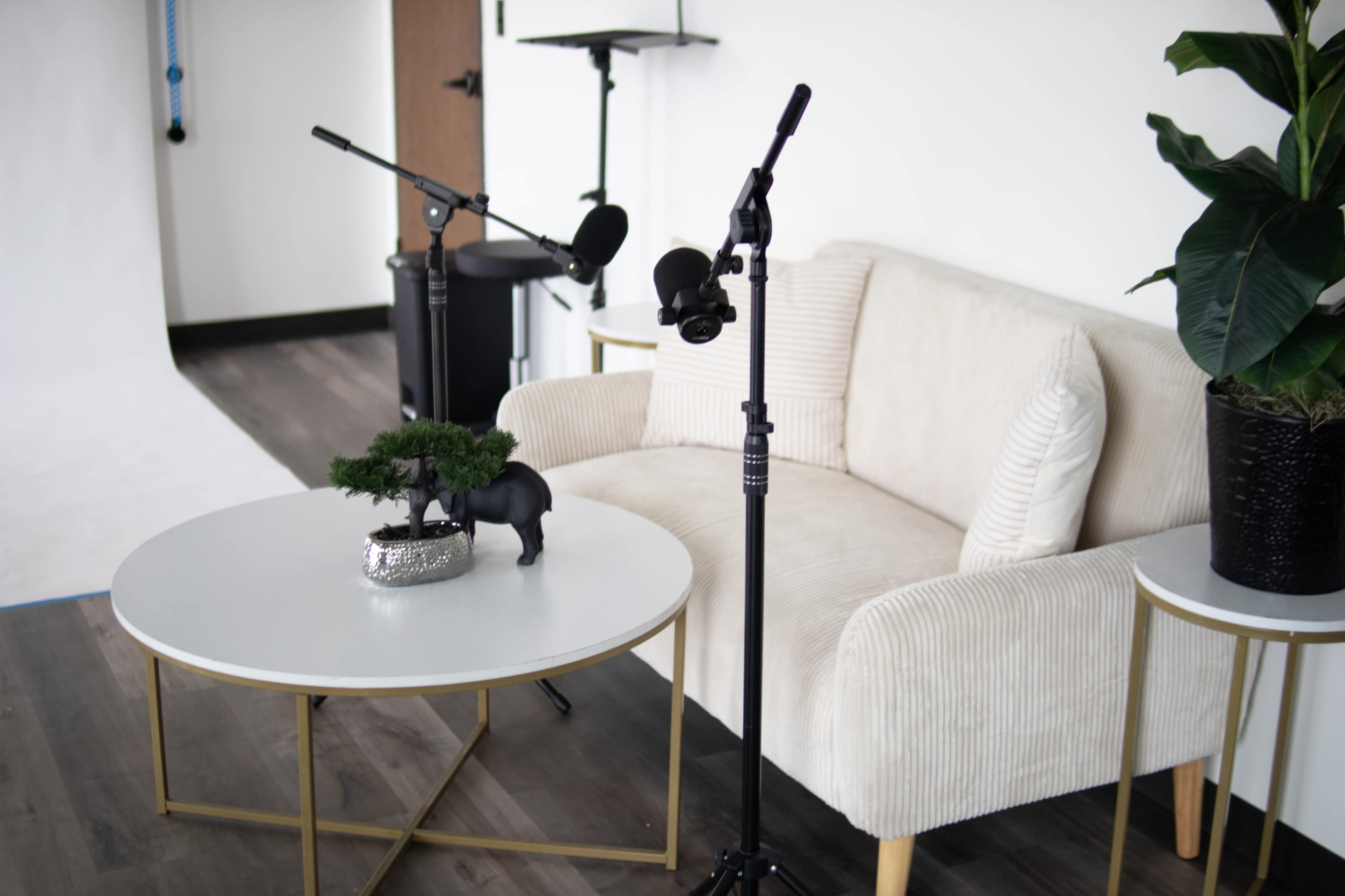 Modern Podcast & Content Studio w/ Pro Equipment in Houston Image in Braeburn, Houston, TX