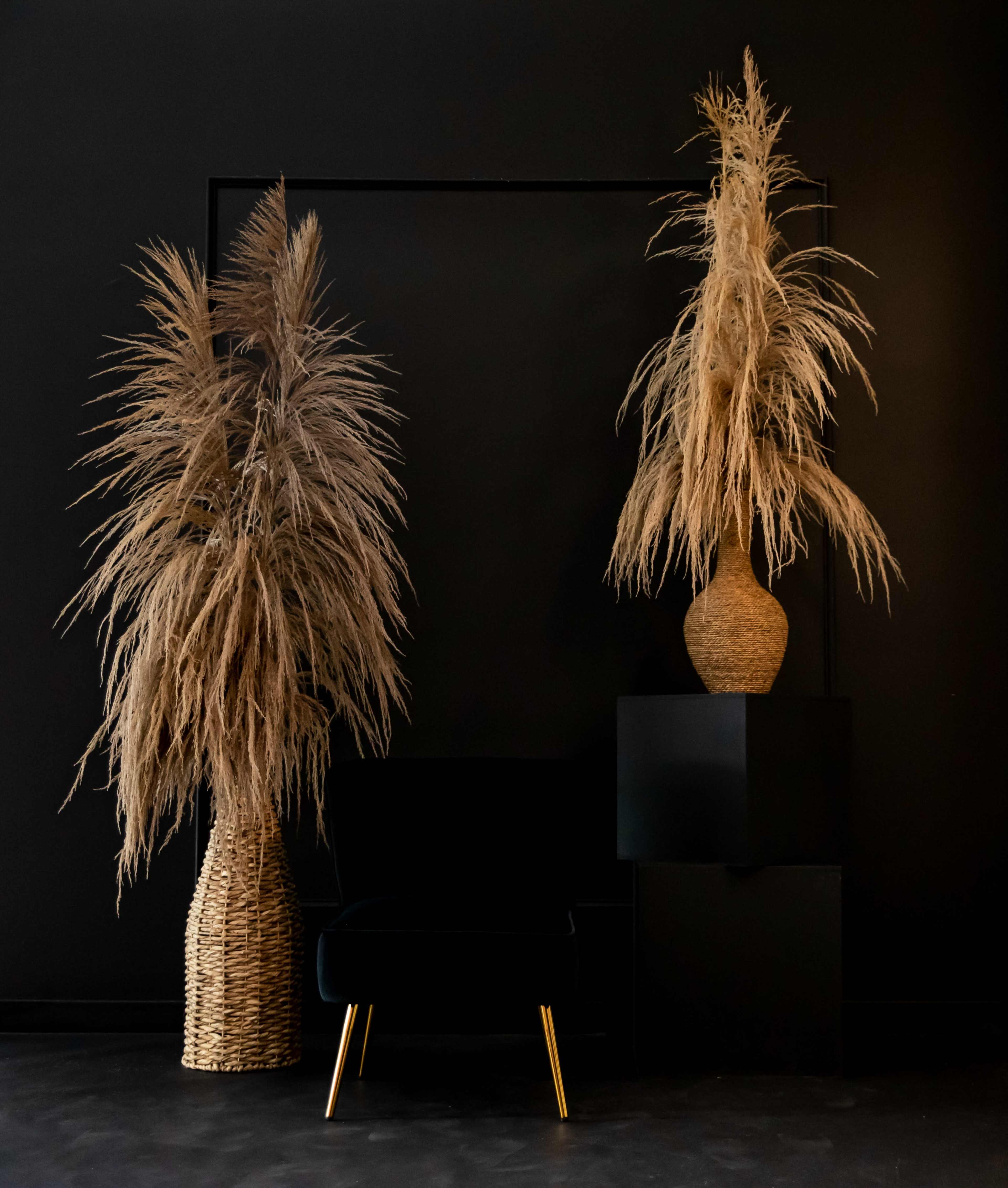 The image features two large dried grass arrangements in woven containers, positioned against a black background, alongside a black chair with gold legs.