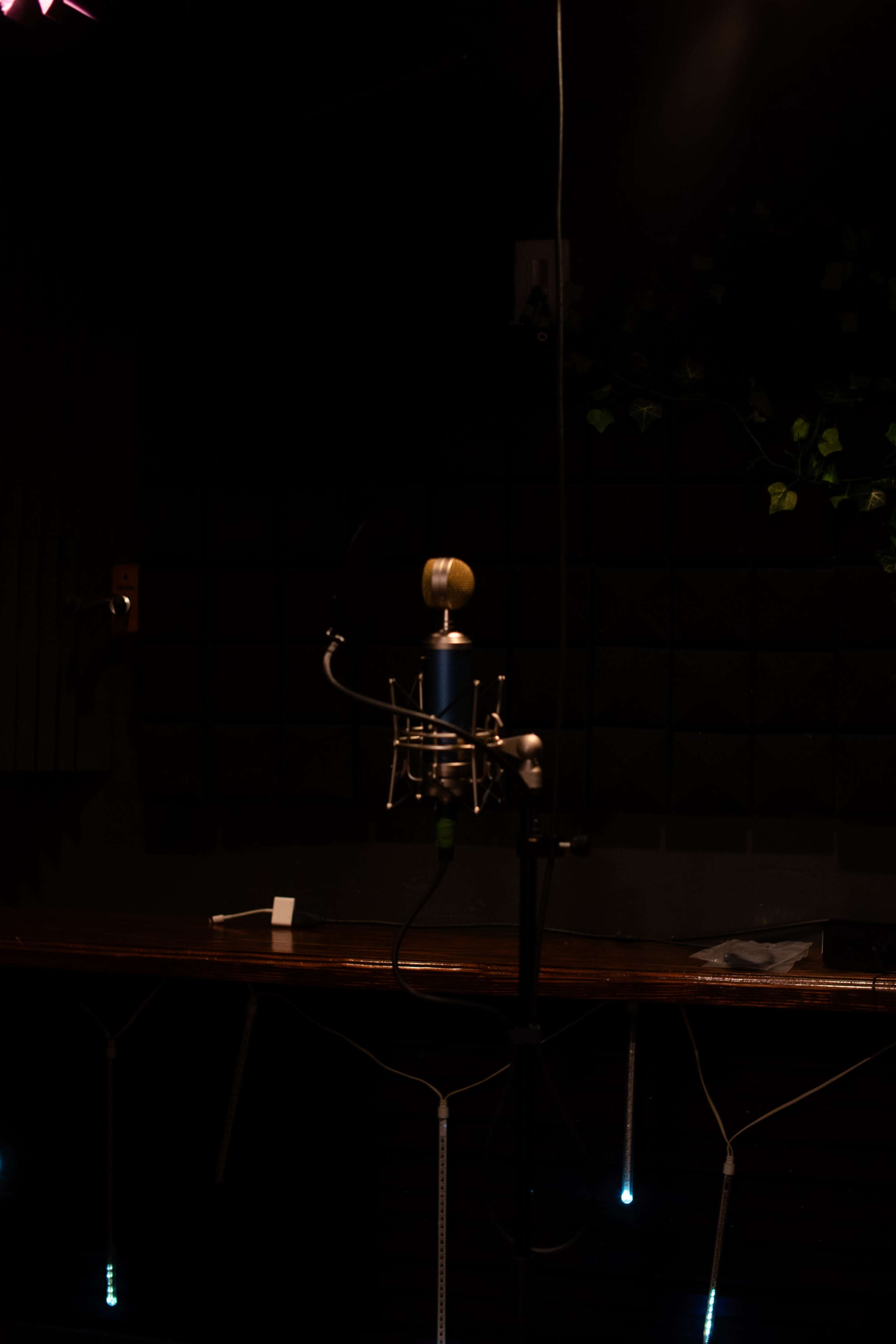 Music / Podcast / Voiceover Recording Studio with In-House Engineer Image in Potrero Hill, San Francisco, CA