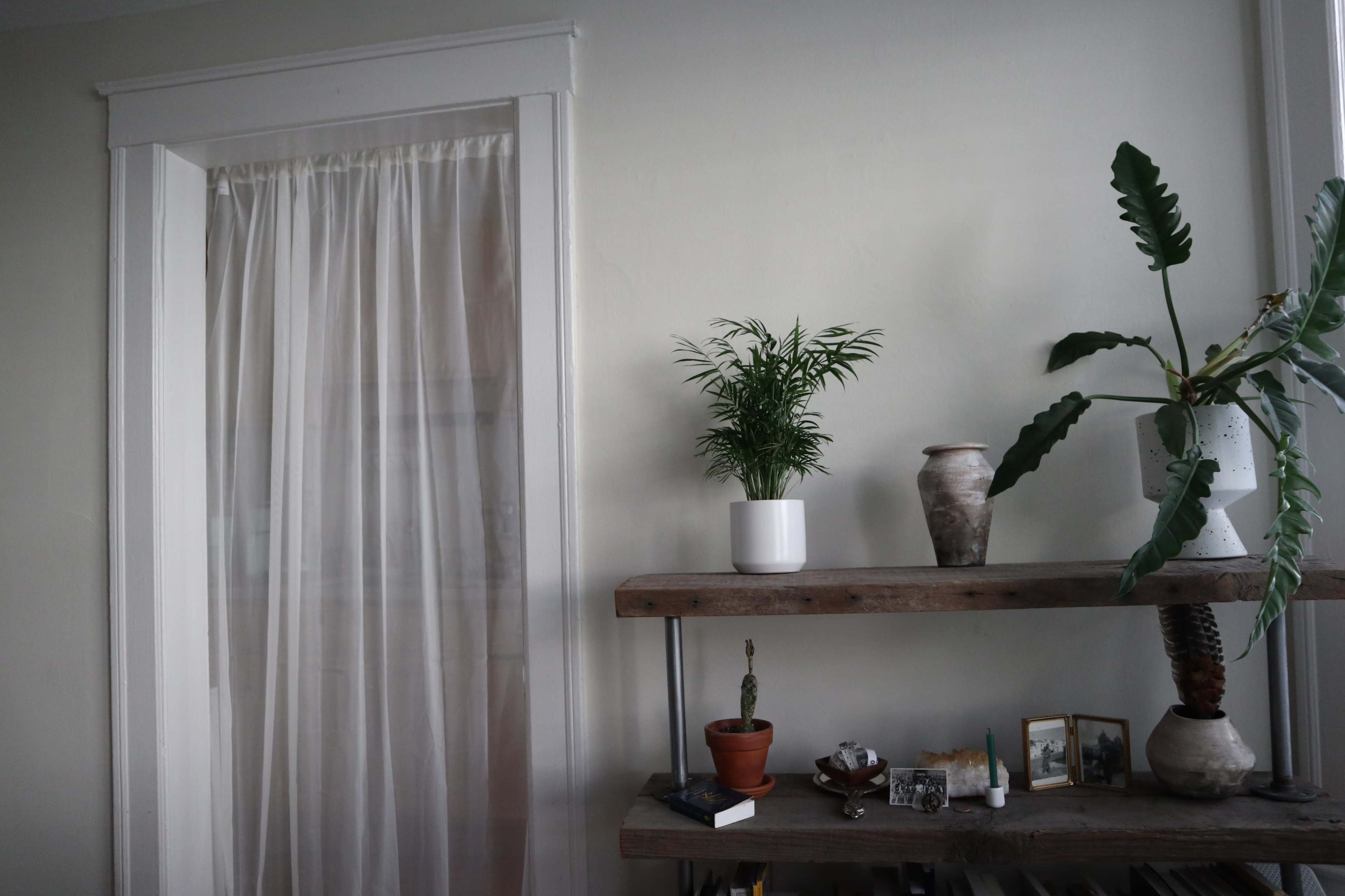 A light and airy room with a sheer curtain partially covering a doorway, and a shelf displaying potted plants, decorative items, and framed photos.