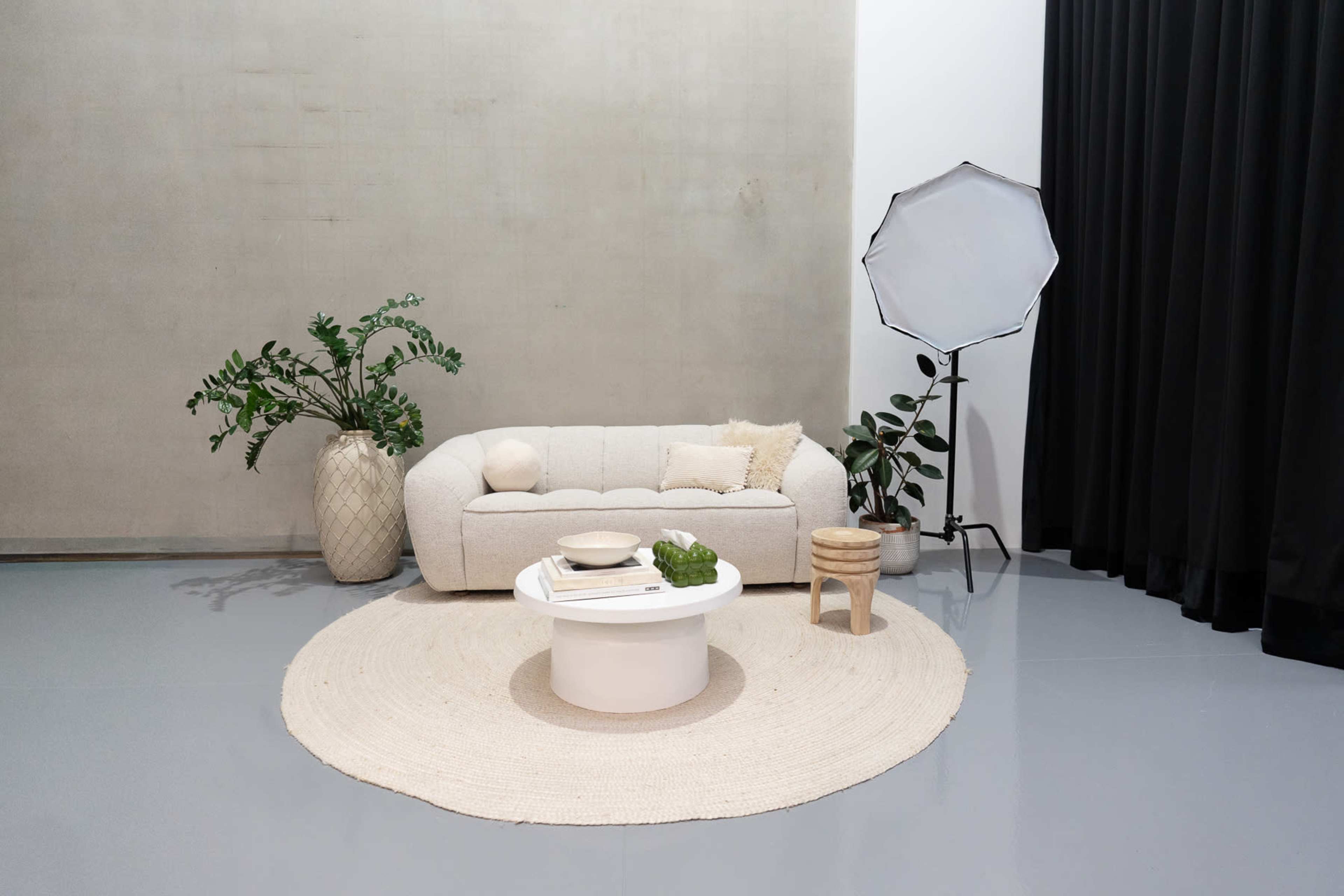 A modern living space features a light-colored sofa, a round rug, a circular coffee table, and plants, with a softbox light on the side.