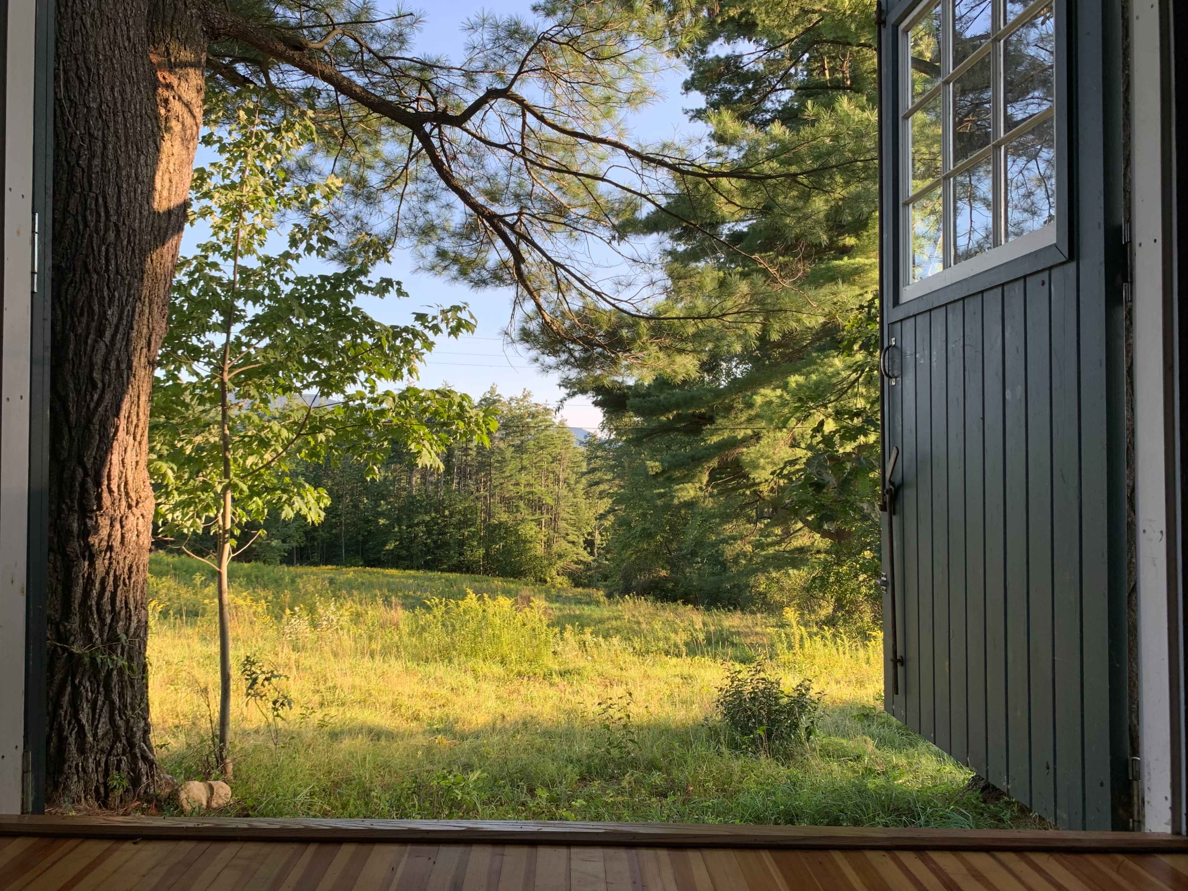 An open door leading to a grassy field framed by trees.