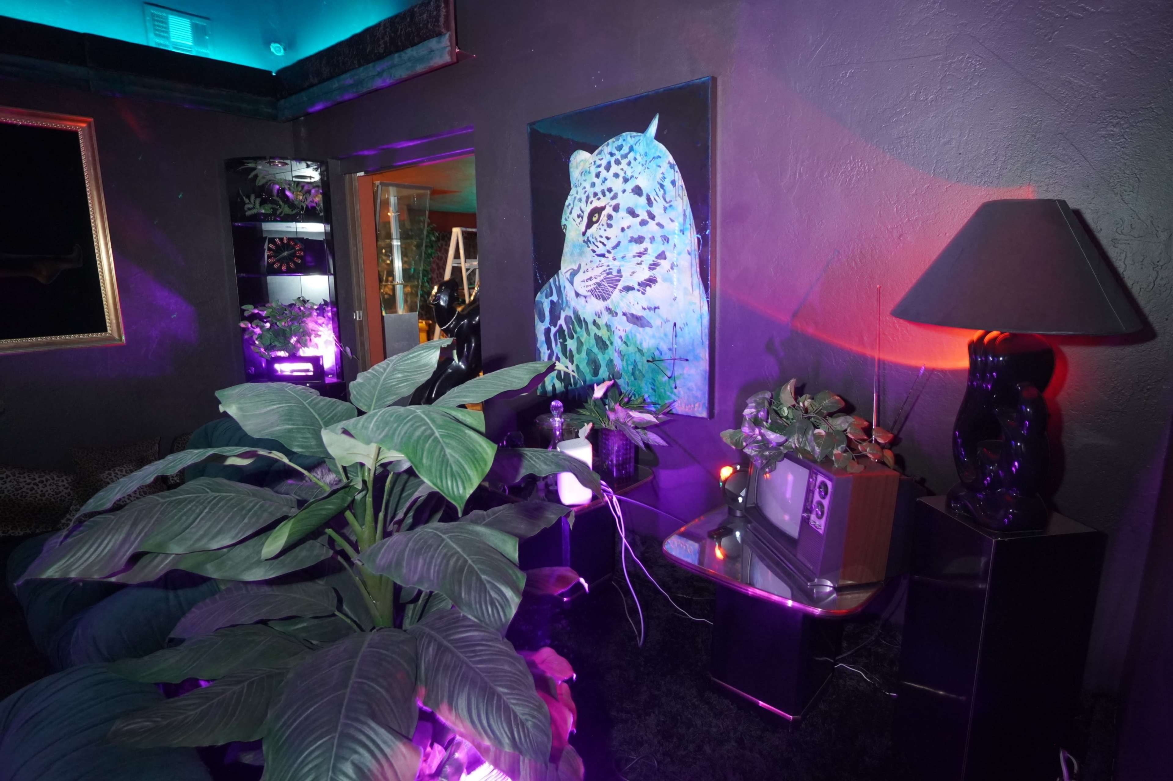 A room with dark walls, a large painting of a leopard, a vintage television set, and decorative plants illuminated by purple light.