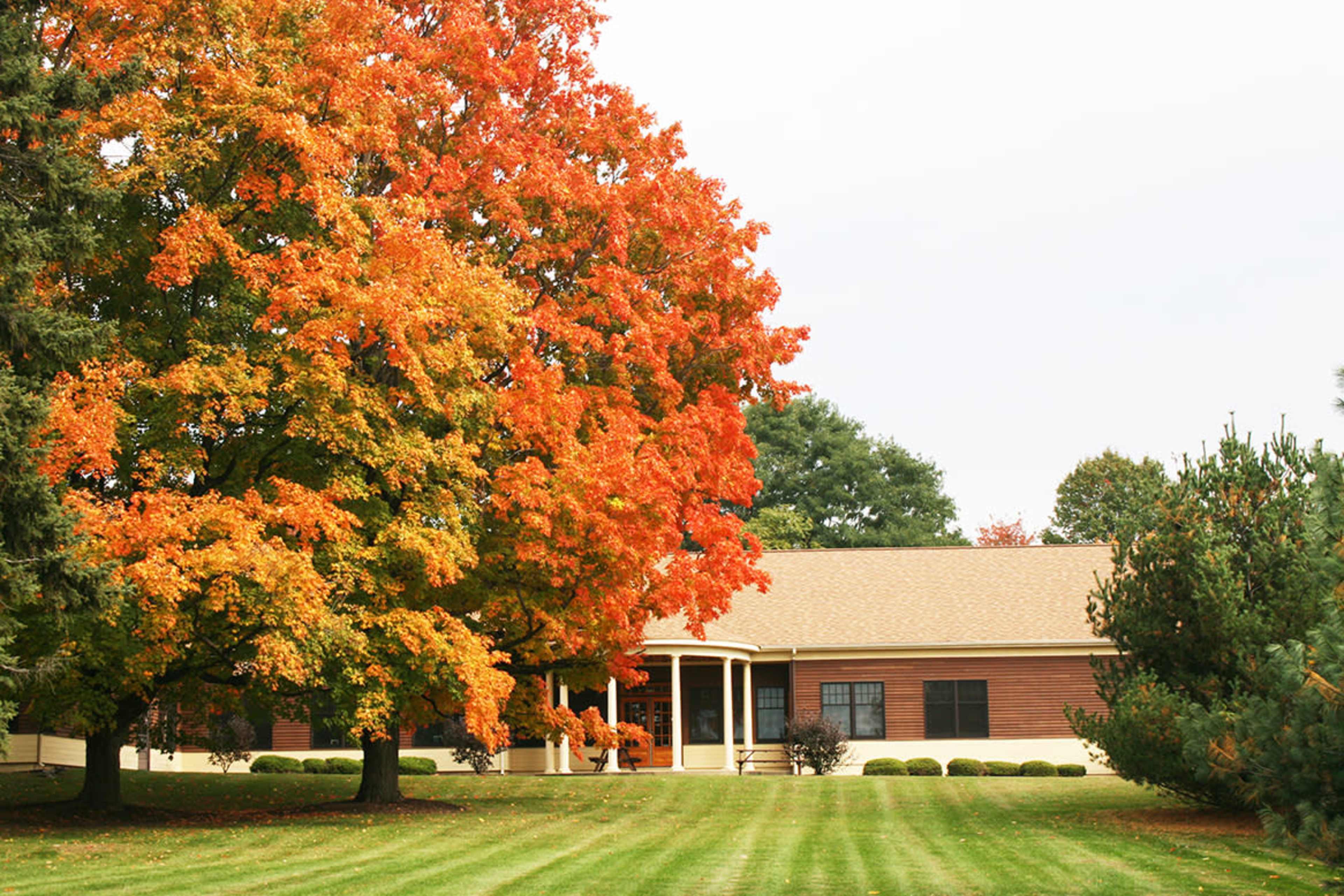 A single-story house with a curved porch is surrounded by a well-maintained lawn and a vibrant orange and yellow maple tree.