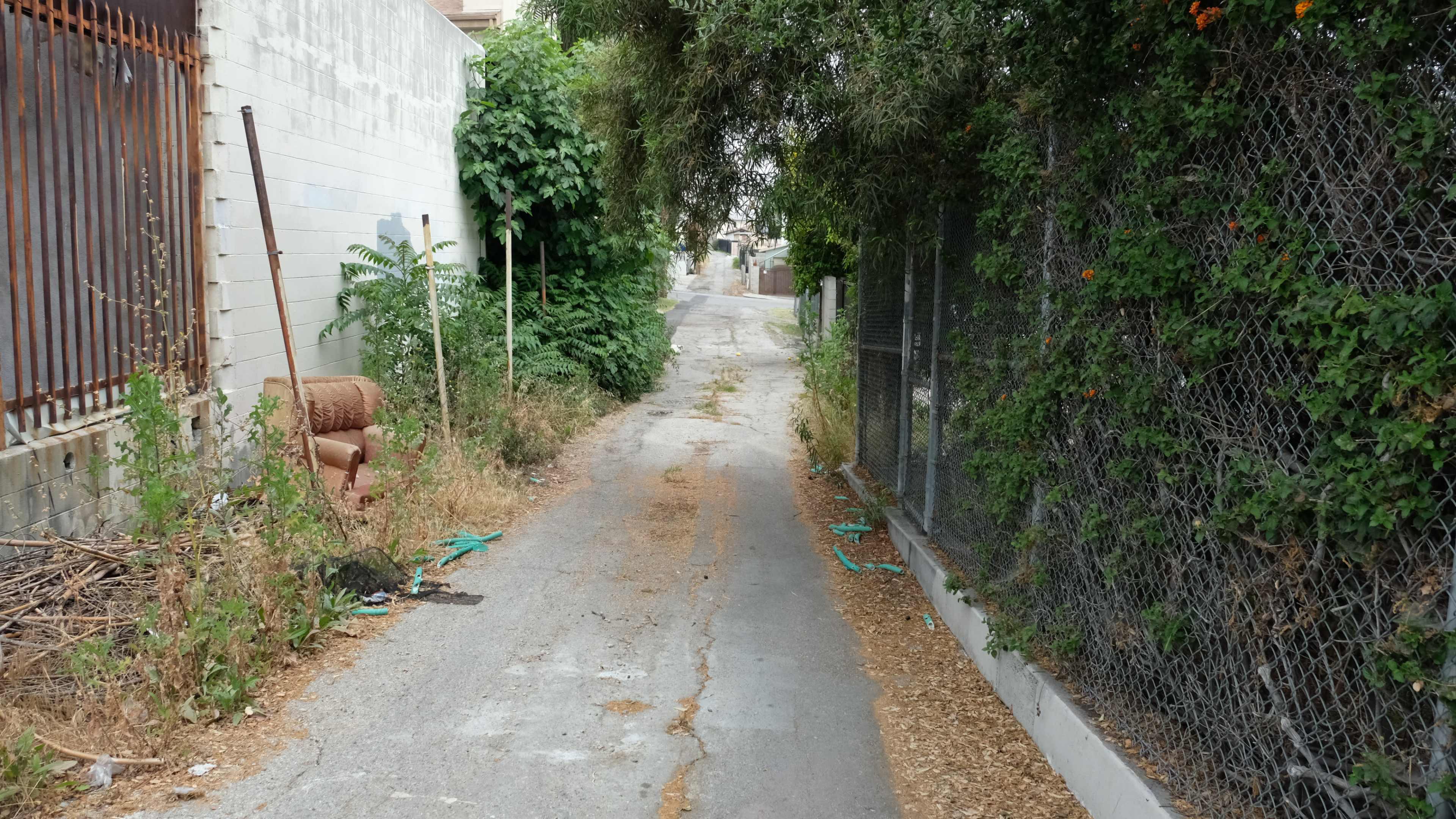A narrow, overgrown alleyway lined with shrubs and a chain-link fence leads to a distant, obscured path.