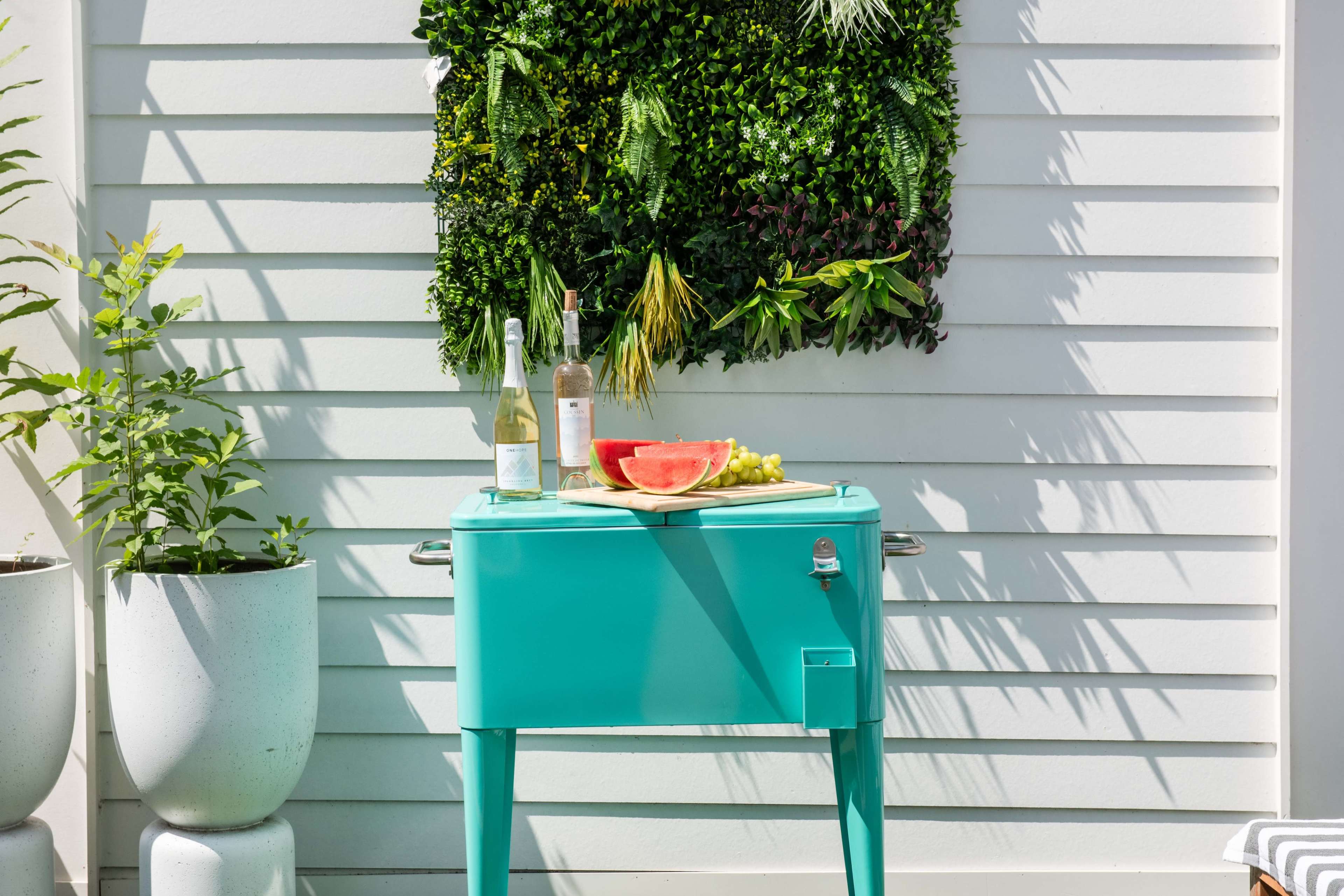 A turquoise cooler is positioned in front of a textured green wall, adorned with vibrant plants, while a plate of watermelon and grapes sits atop it alongside two bottles of wine.