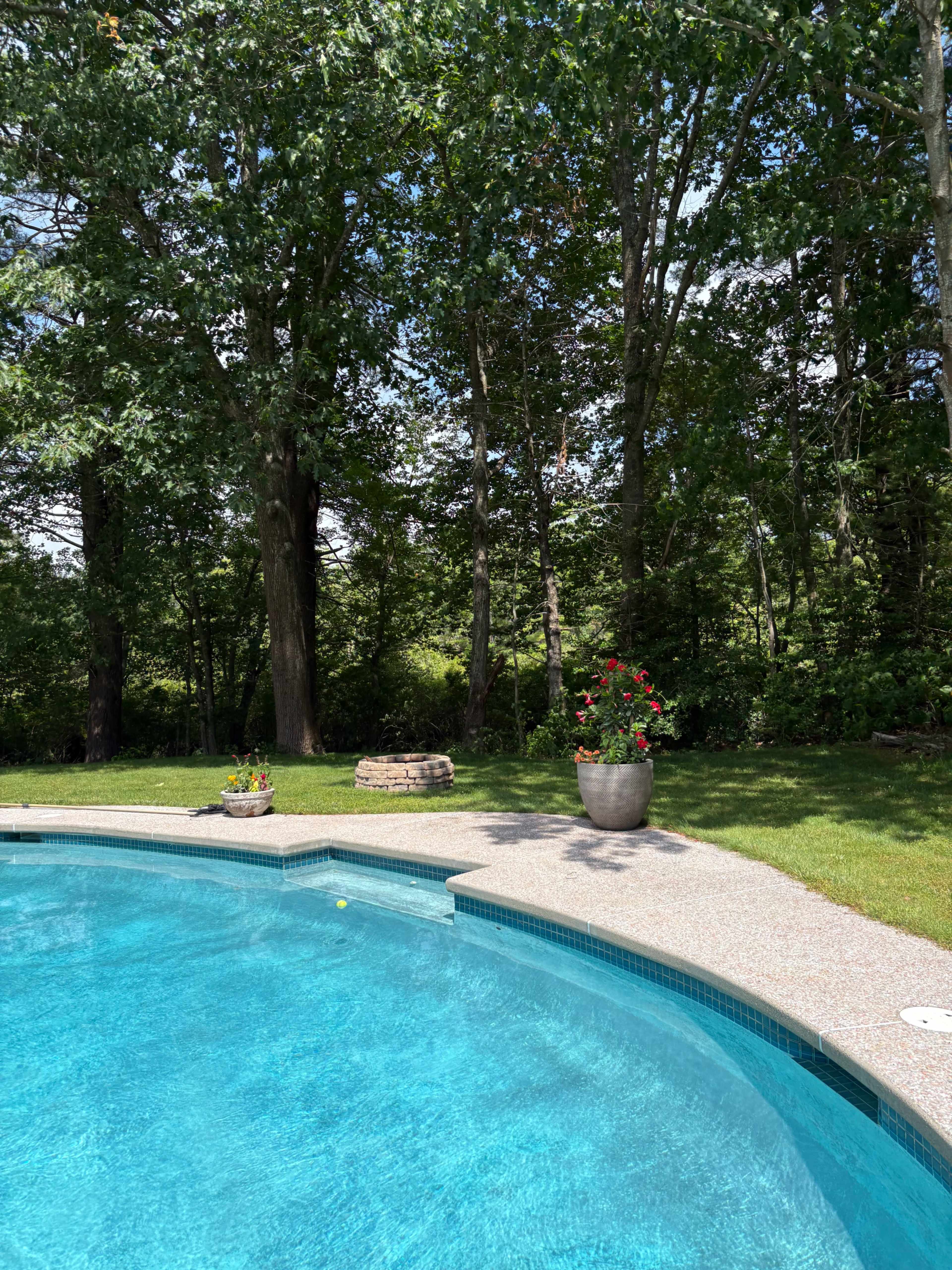 A clear blue swimming pool is surrounded by a spacious lawn and bordered by trees in the background.