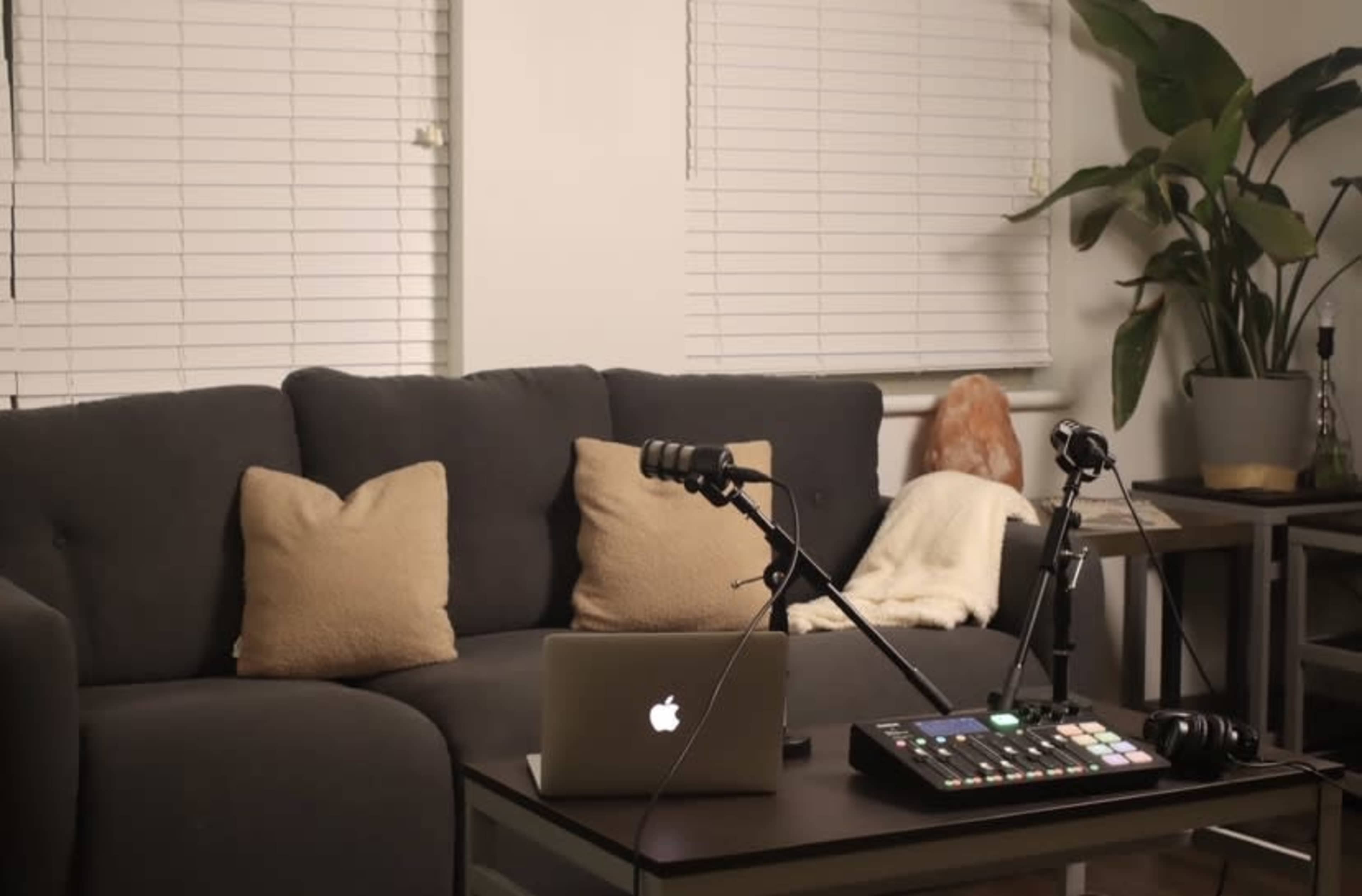 A modern living room features a gray couch with two pillows, a laptop on a table, and a microphone setup alongside a plant and window blinds.