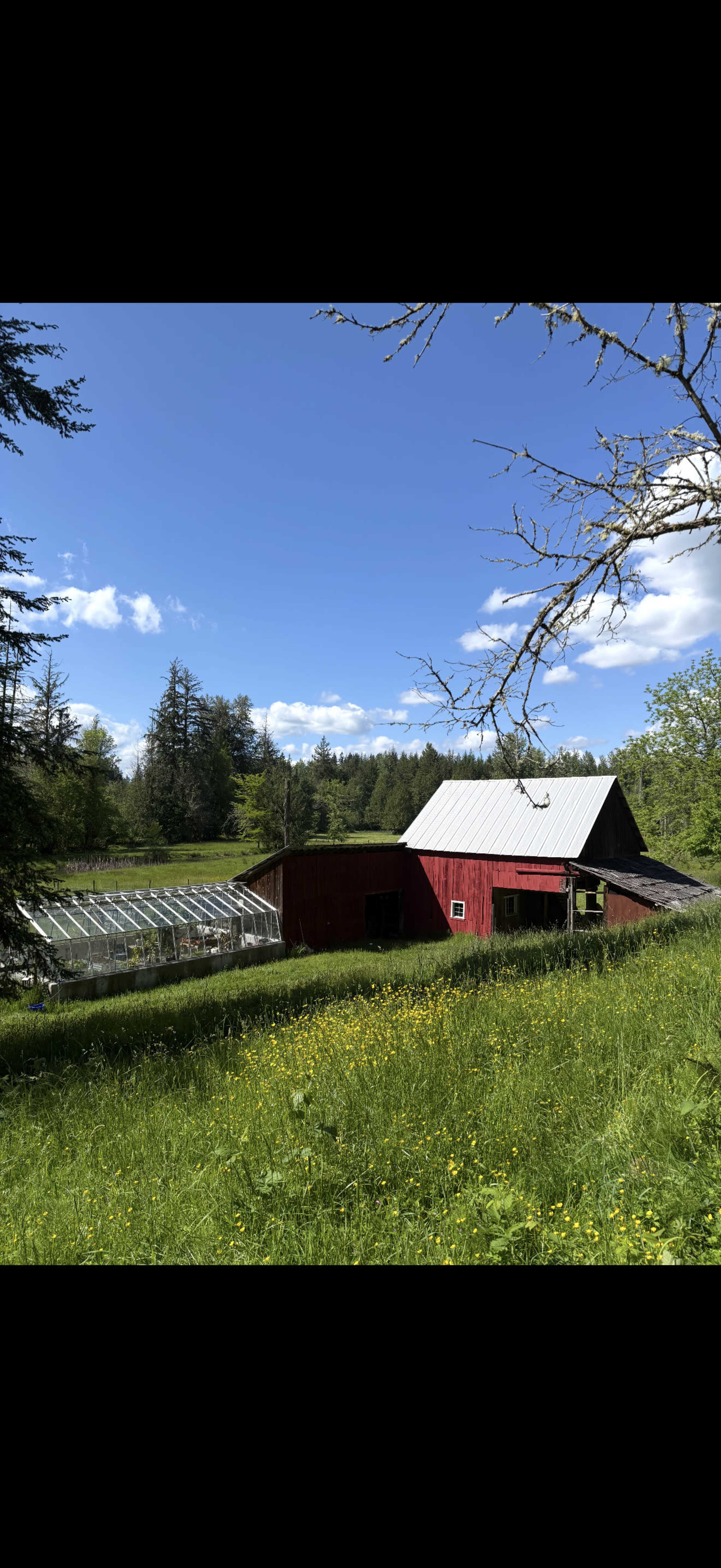A red barn with a metal roof sits near a greenhouse in a green field under a blue sky.