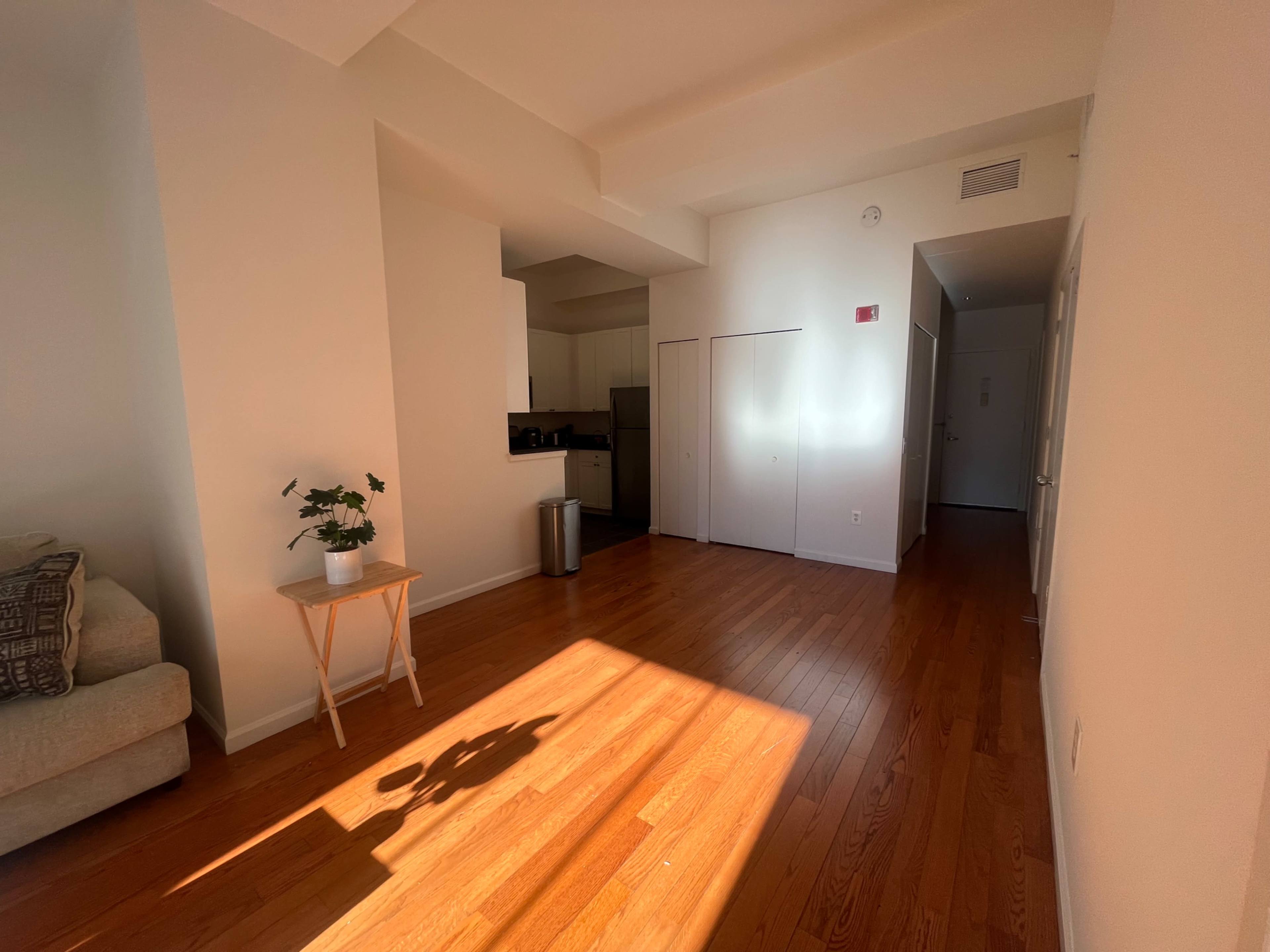 The image shows a bright, open living space with hardwood flooring, a small plant on a table, and a kitchen area visible in the background.