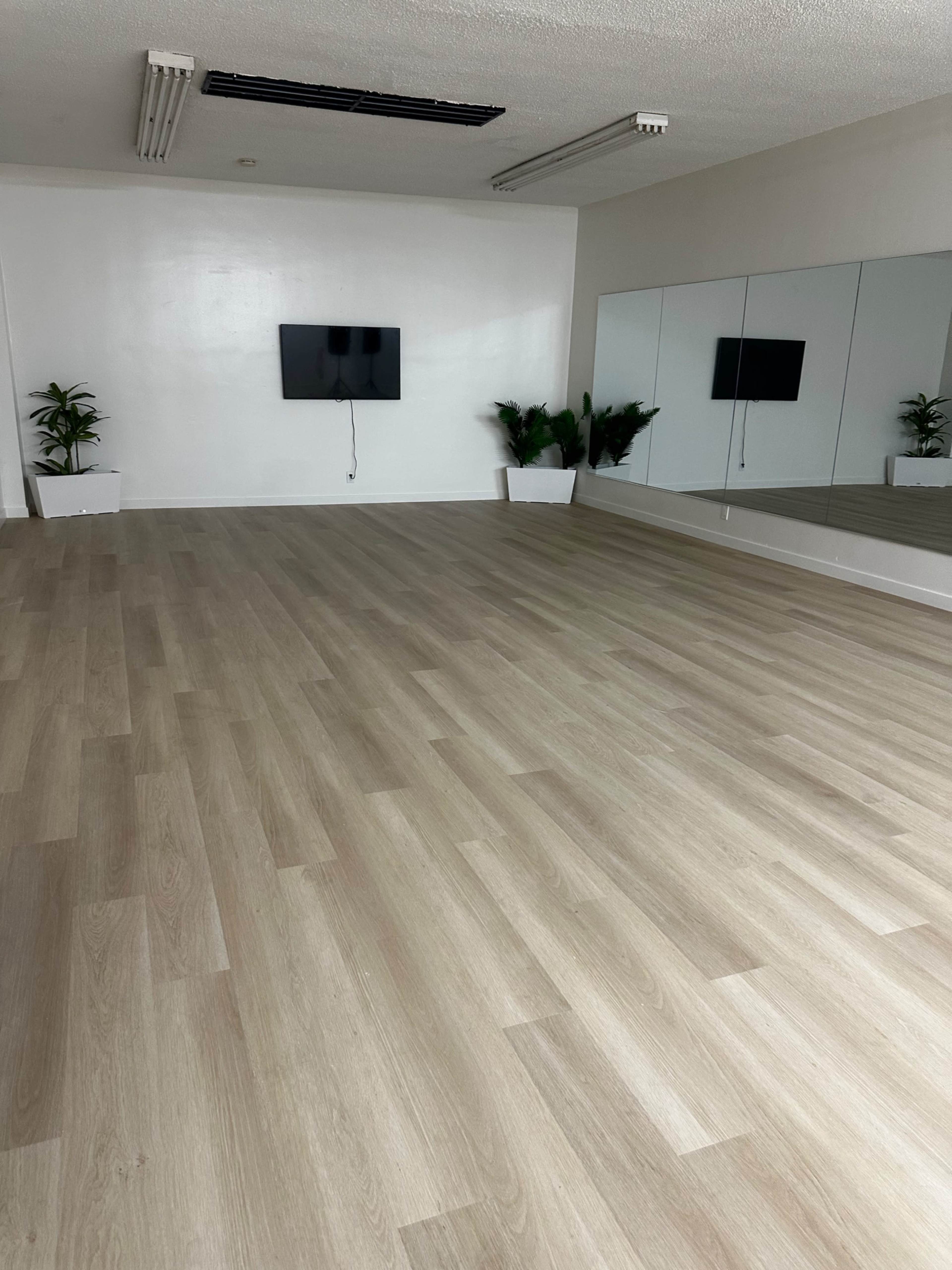 The image shows a spacious, empty room with light wood flooring, a wall-mounted television, and large mirrors along one side, flanked by potted plants.