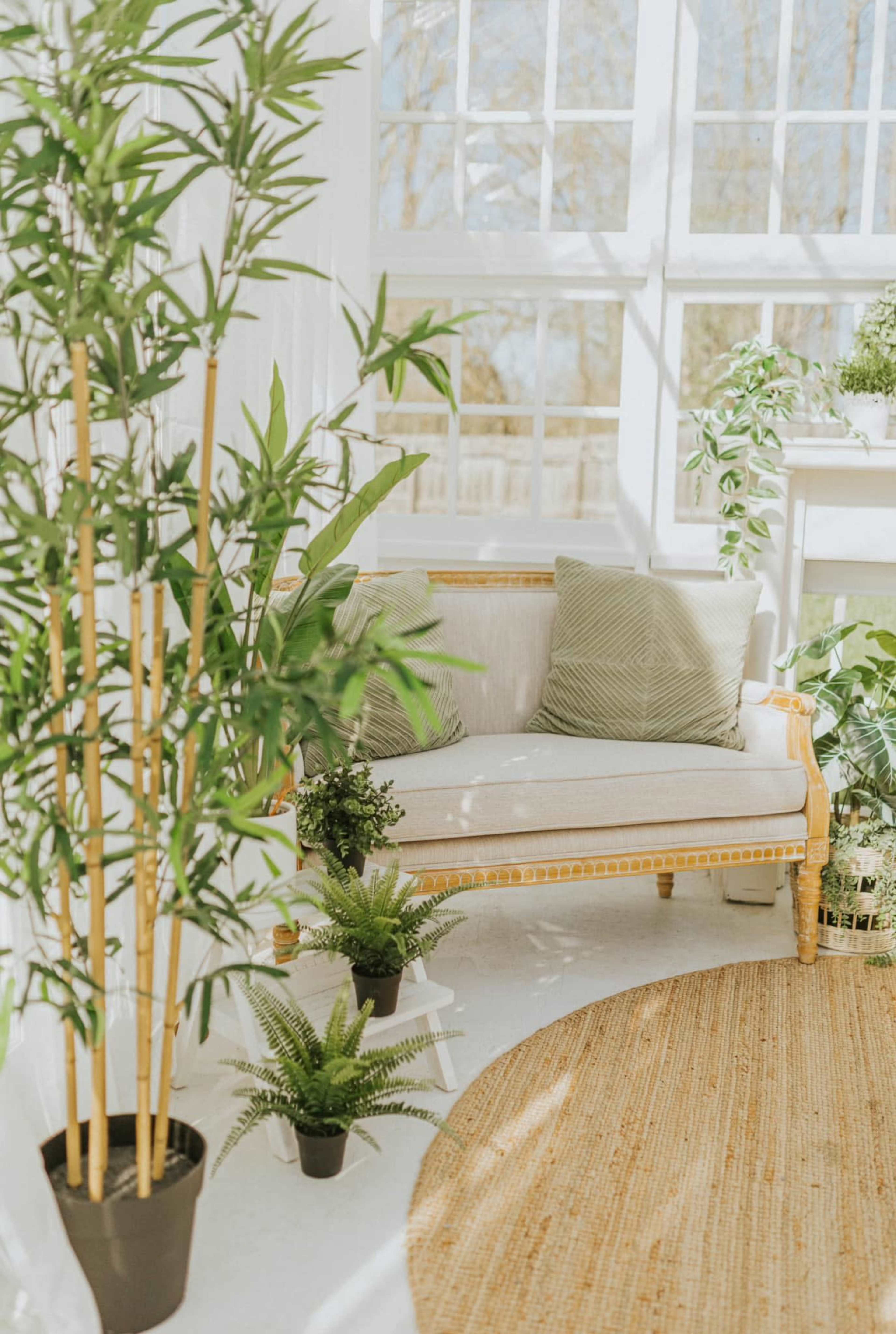 The image shows a bright, airy indoor space filled with various plants, featuring a light-colored couch with two pillows and a round rug on the floor.