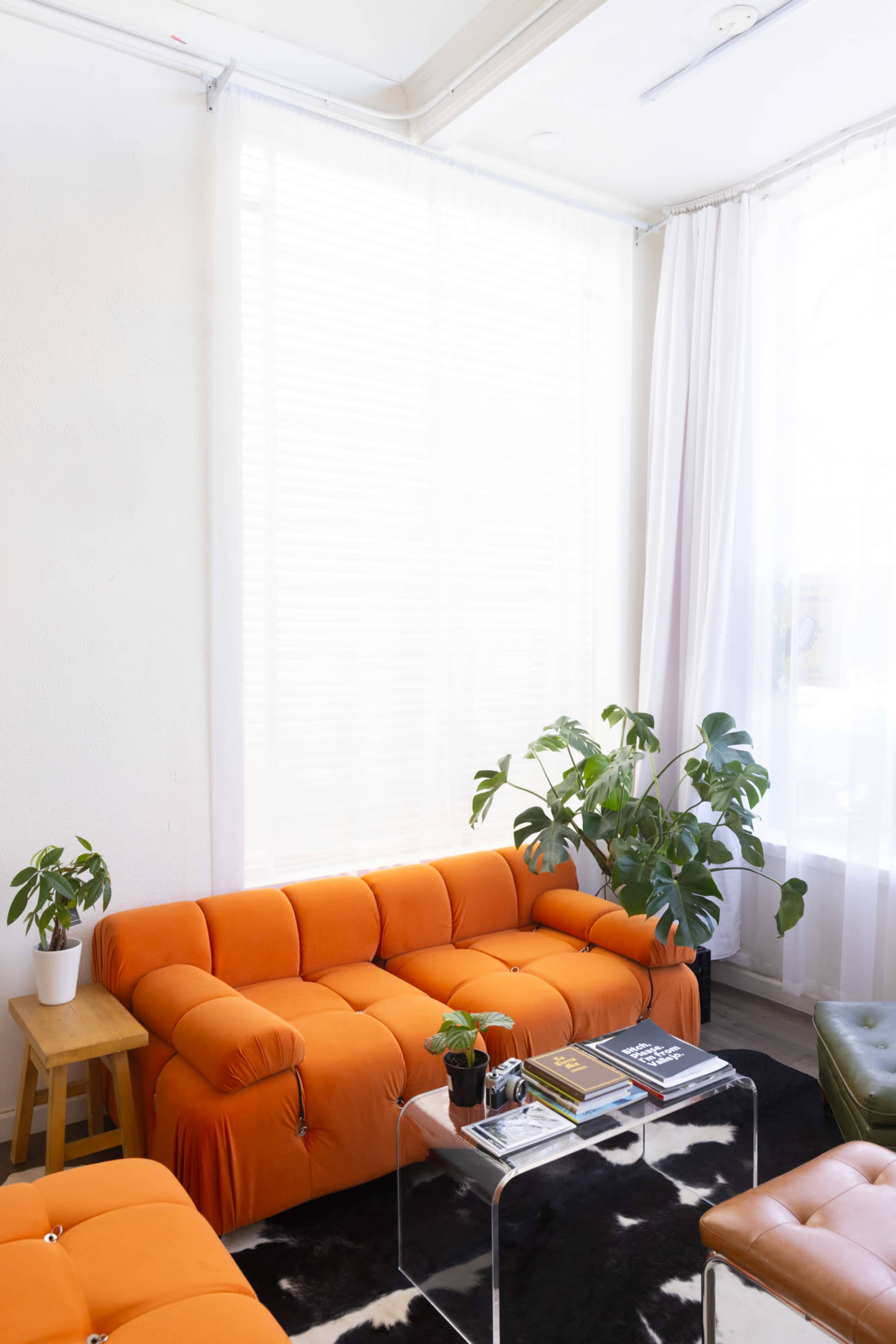 A bright room features an orange tufted sofa, a glass coffee table with books, a small potted plant, and large windows with white curtains.