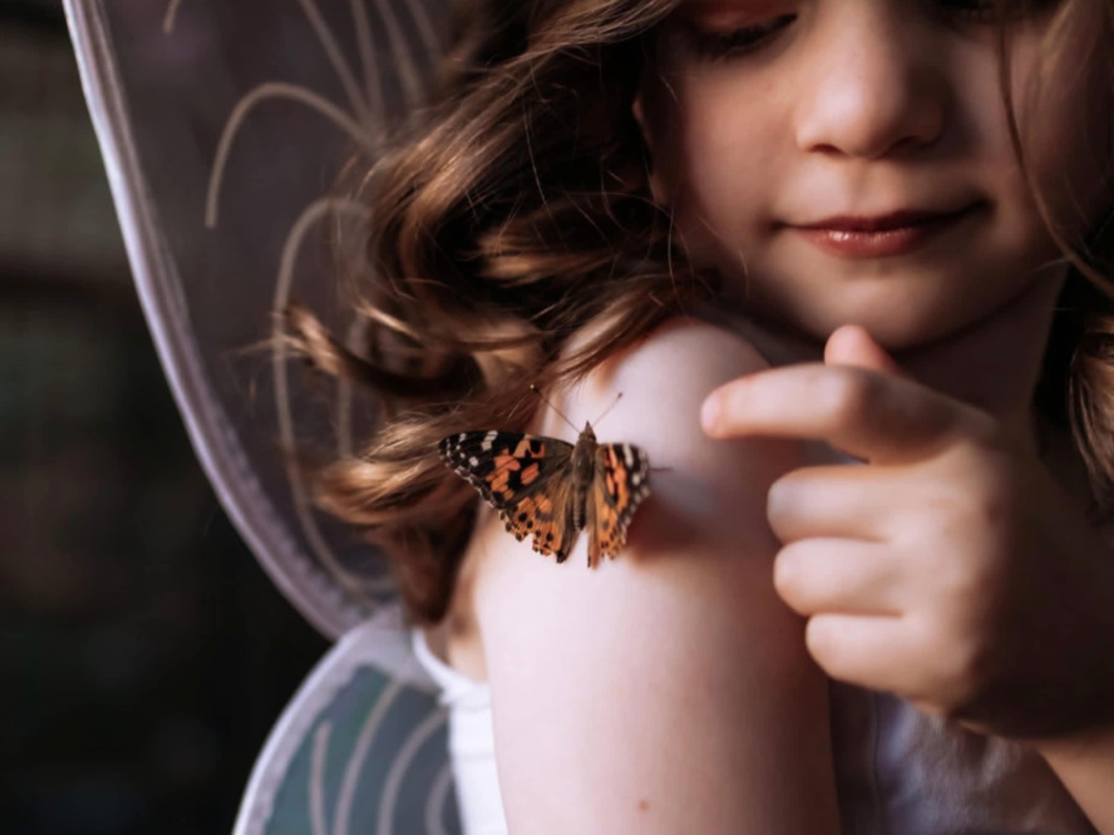 Butterly Garden Room