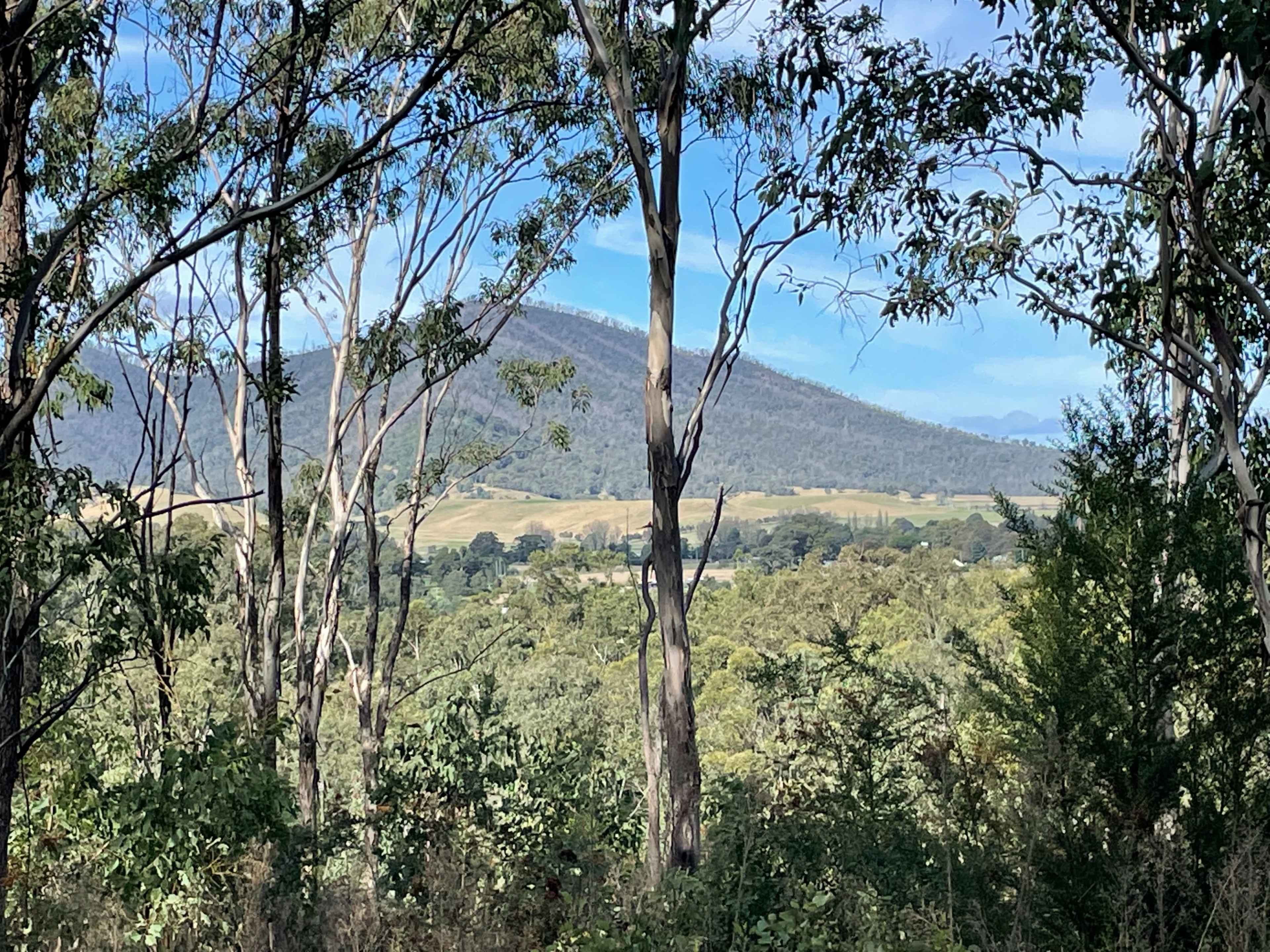 A view of a mountain surrounded by trees and greenery under a blue sky.