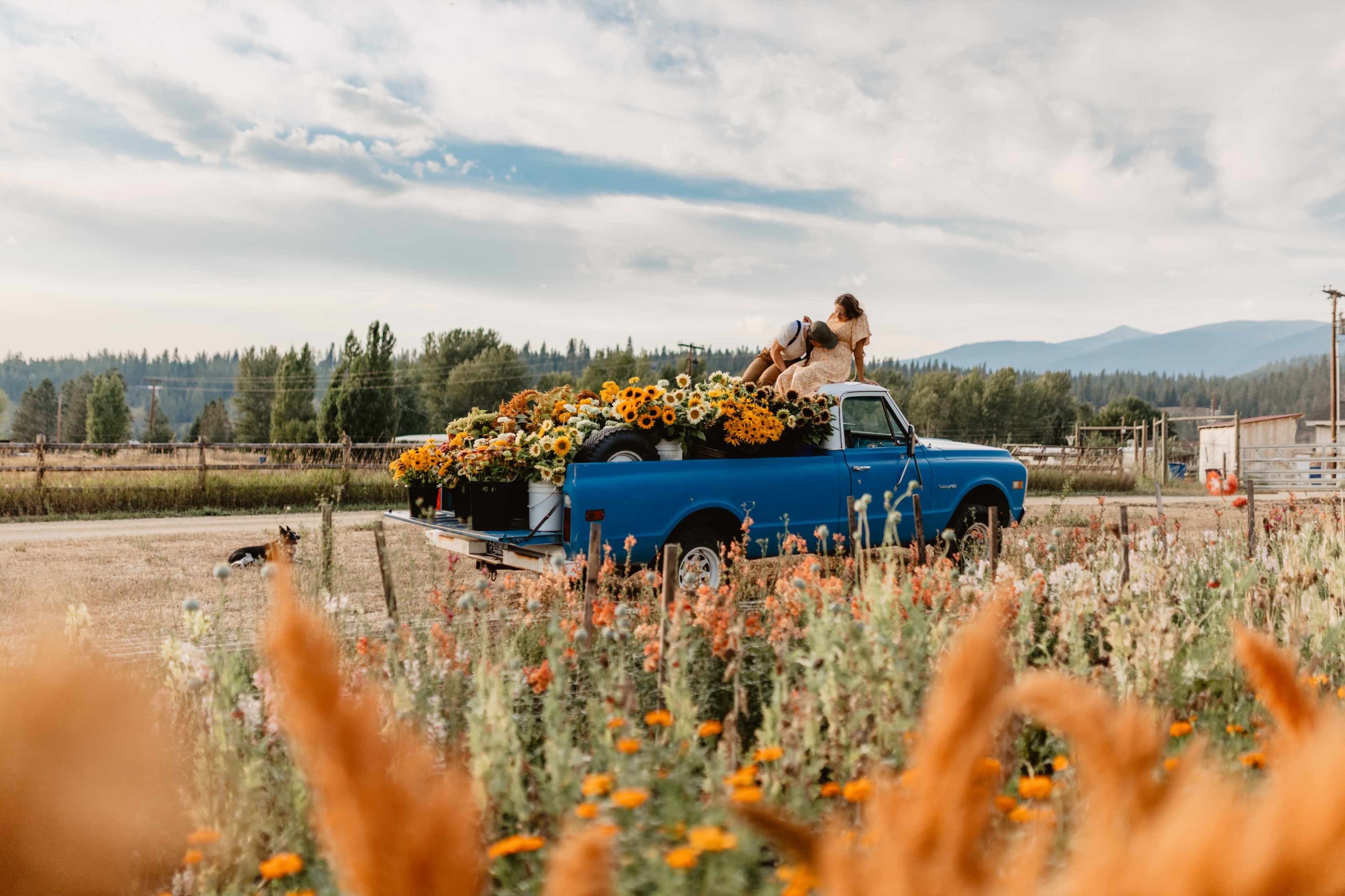 A blue pickup truck filled with vibrant flowers is parked in a field, with a person sitting on top of the flowers.