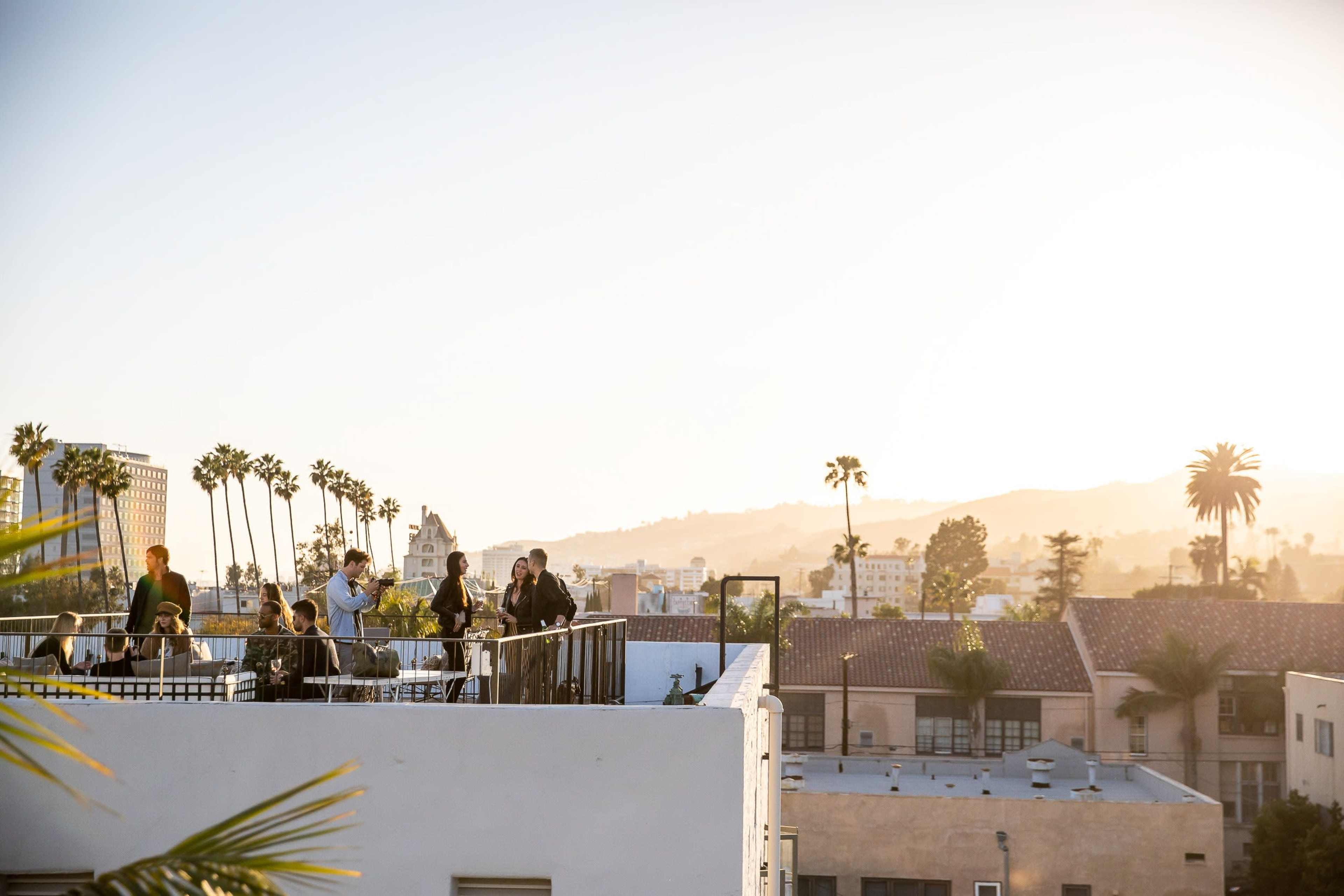 A group of people gathers on a rooftop terrace with palm trees and city buildings in the background during sunset.