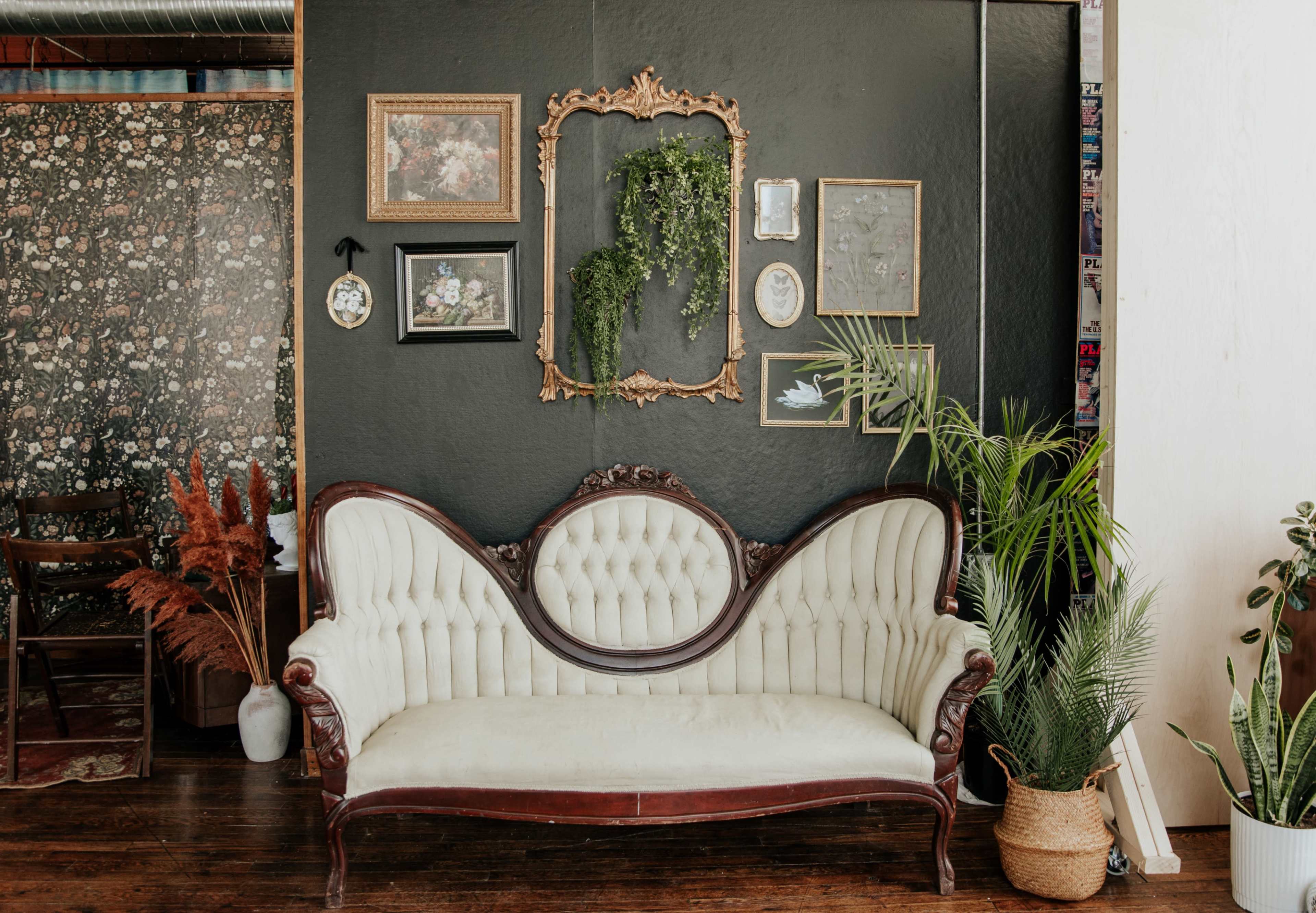 A vintage white sofa is positioned against a dark wall adorned with various framed artworks and decorative plants.