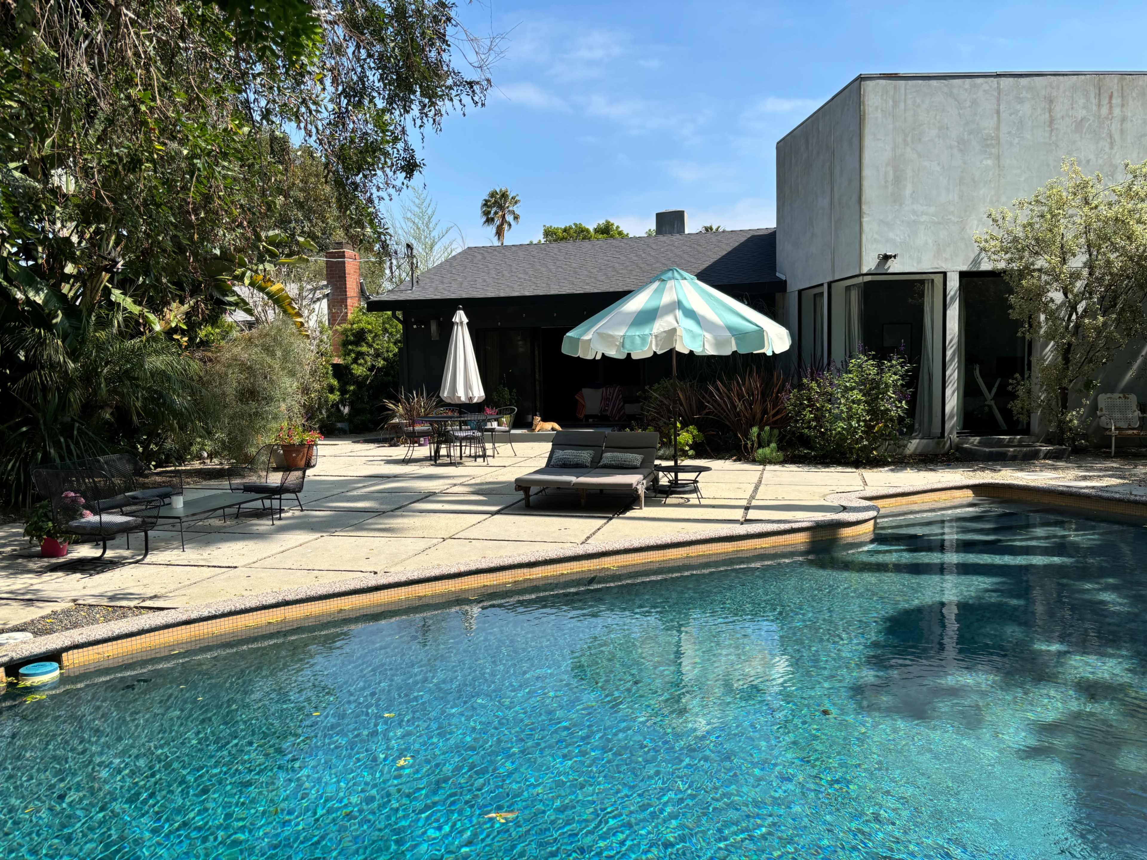 Big, lush Venice backyard with pool Image in Venice, Venice, CA