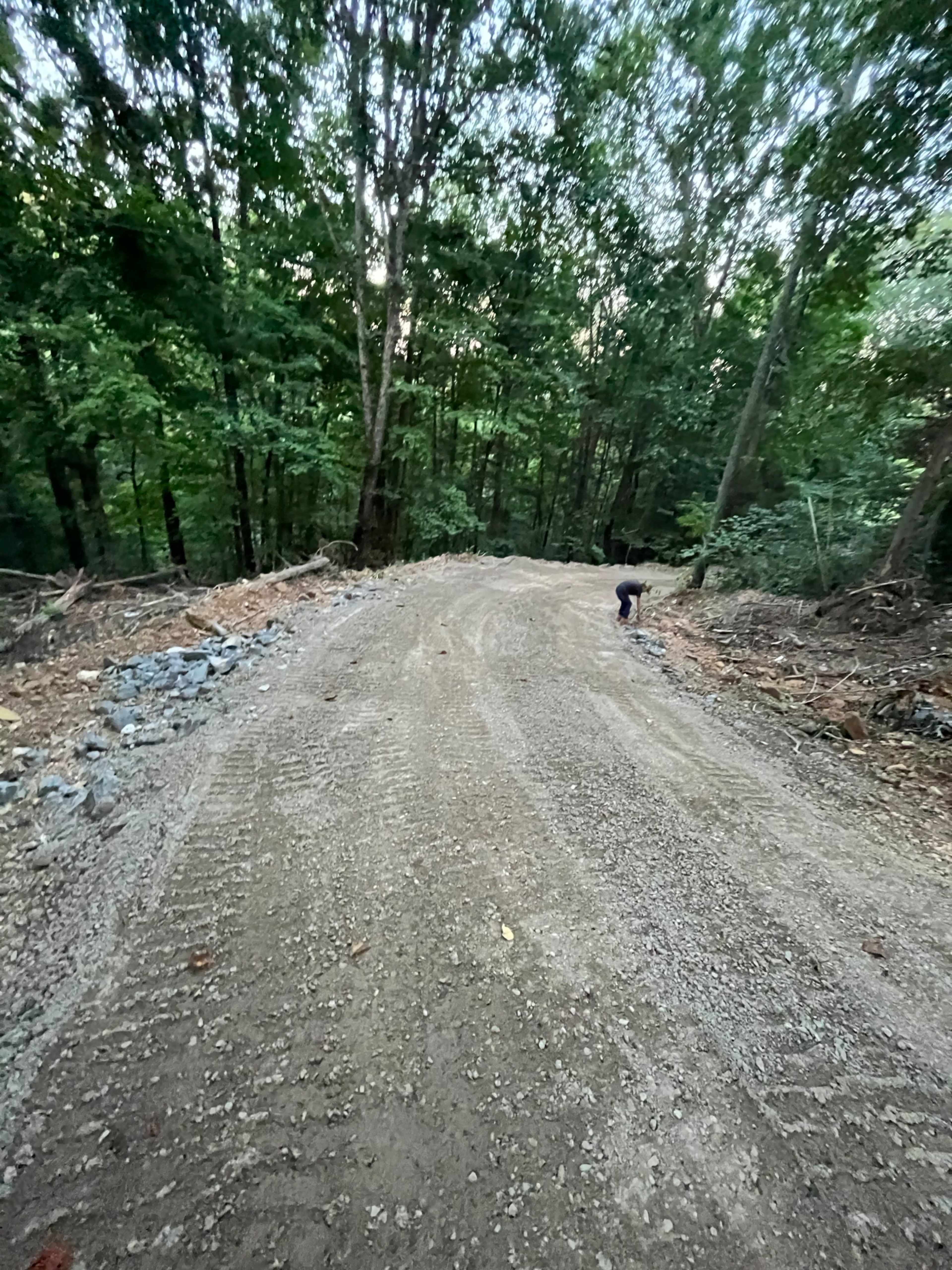 A gravel path winds through a wooded area, with trees lining both sides and loose stones scattered along the edges.