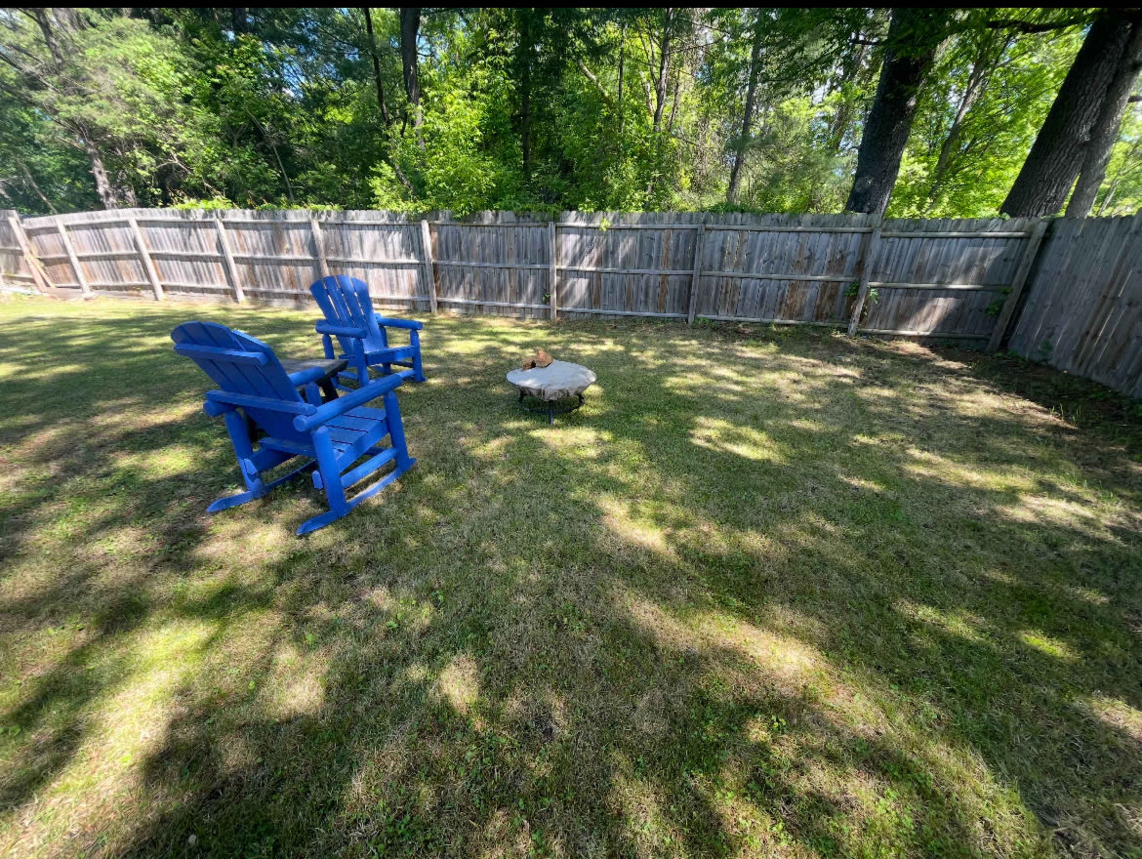 Backyard in the heart of Delmar Image in Delmar, Delmar, NY