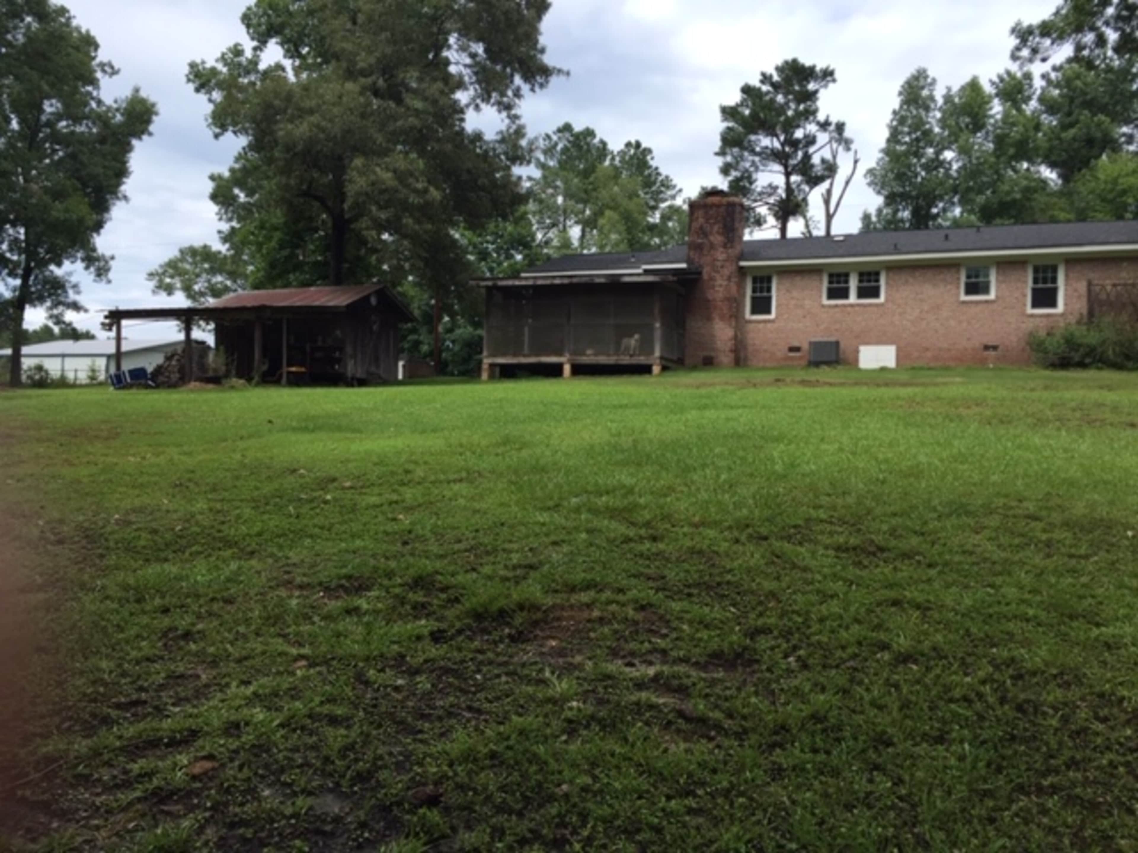 The image shows a grassy yard with a brick house, a wooden shed, and a chimney in a wooded area.