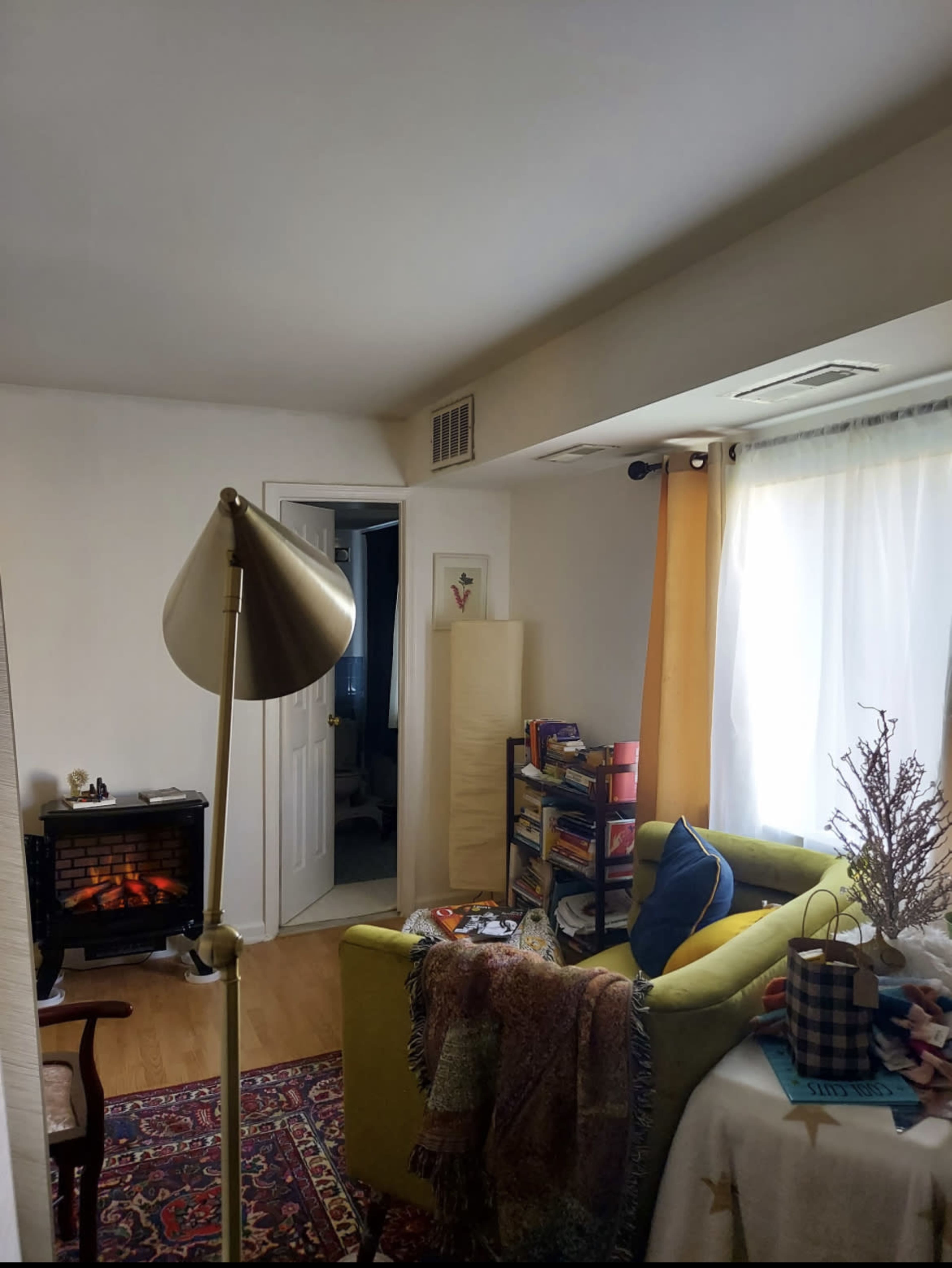 A cozy living room with a green sofa, a standing lamp, a small electric fireplace, and bookshelves filled with books, illuminated by natural light from a nearby window.