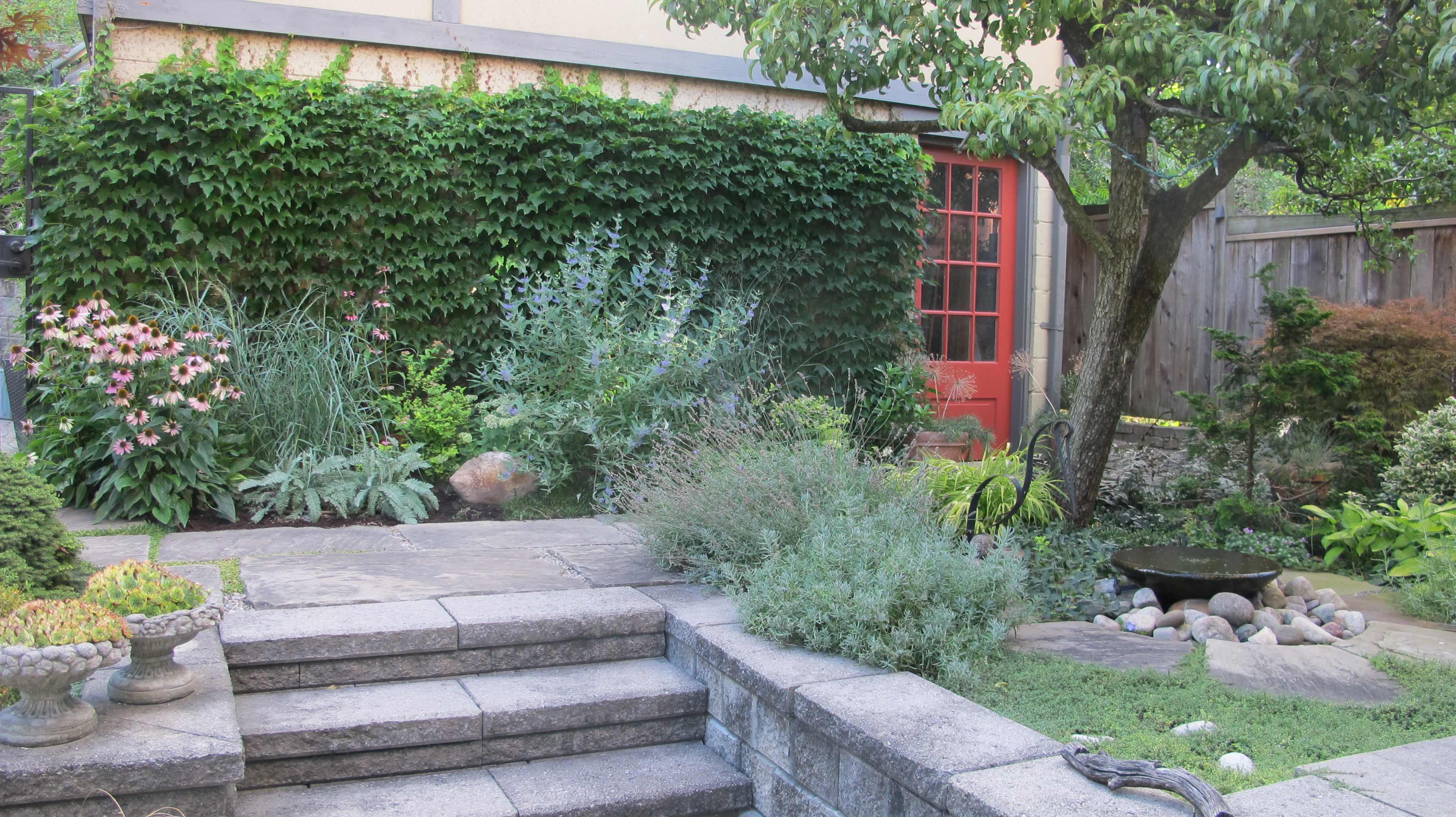 A stone patio features steps leading to a vibrant garden with various plants, a flowering bush, and a red door in the background.