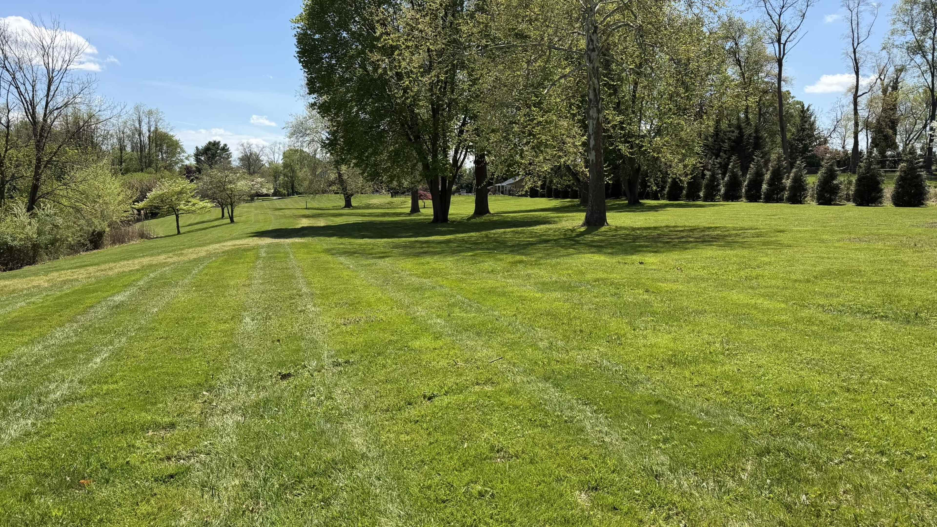 A large, manicured green lawn features distinct lines from mowing, bordered by trees on both sides under a clear blue sky.