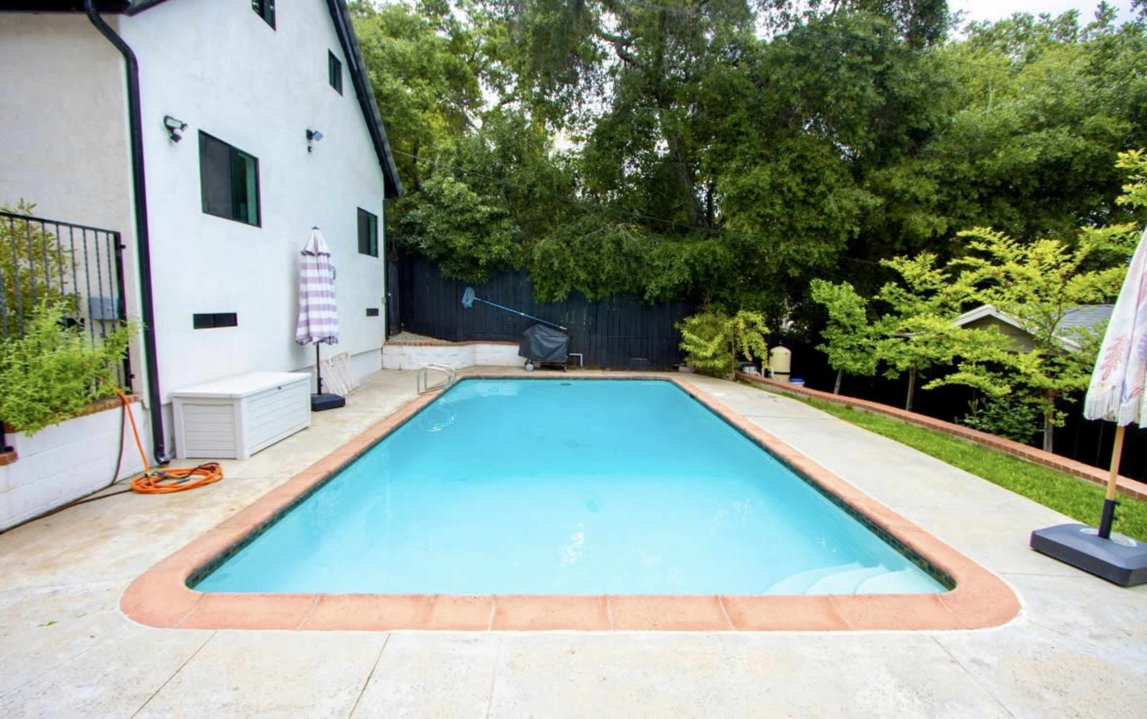 A backyard swimming pool surrounded by a concrete patio and green landscaping.