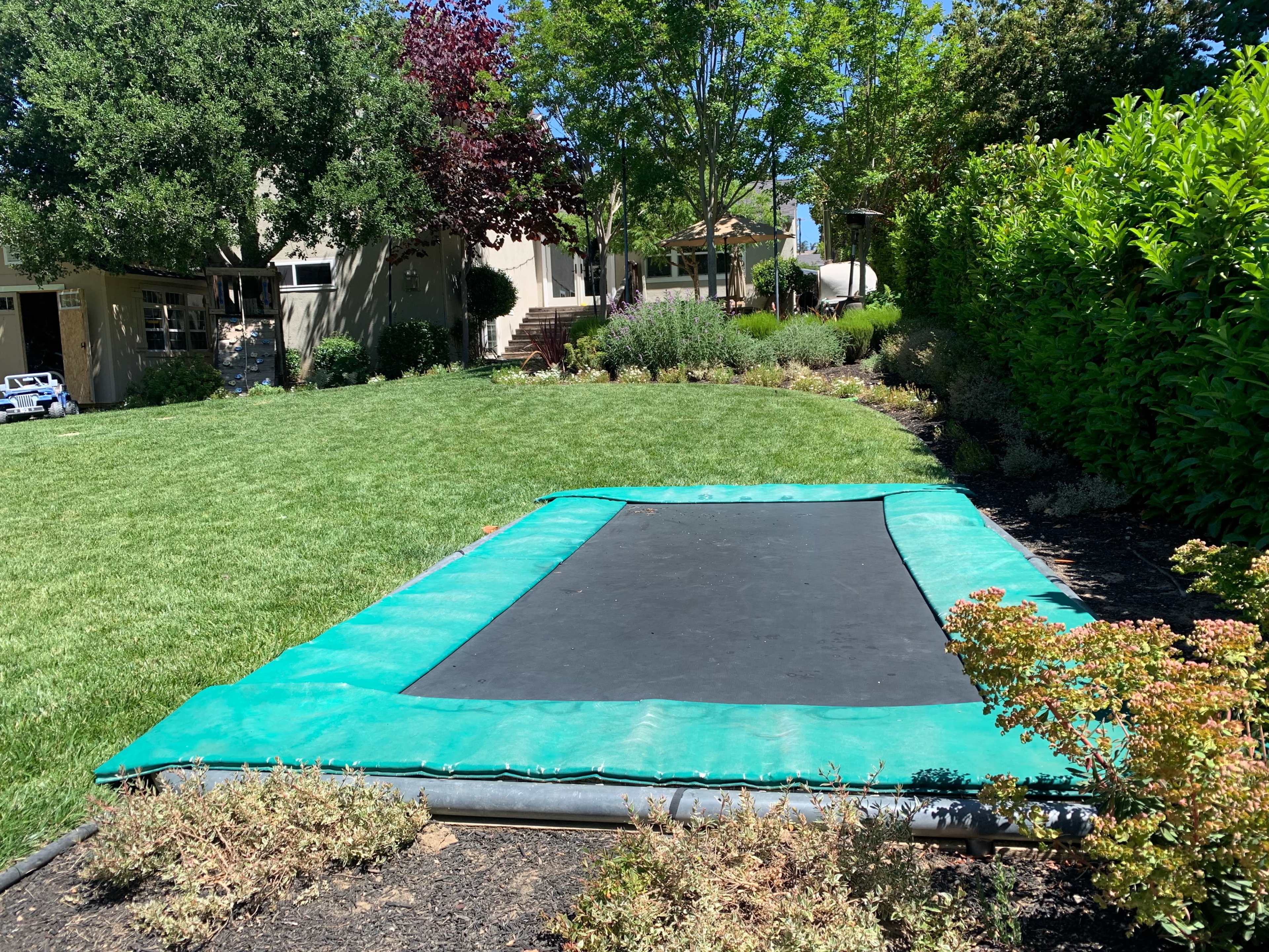 A trampoline is placed on a lawn surrounded by greenery and flowering plants.