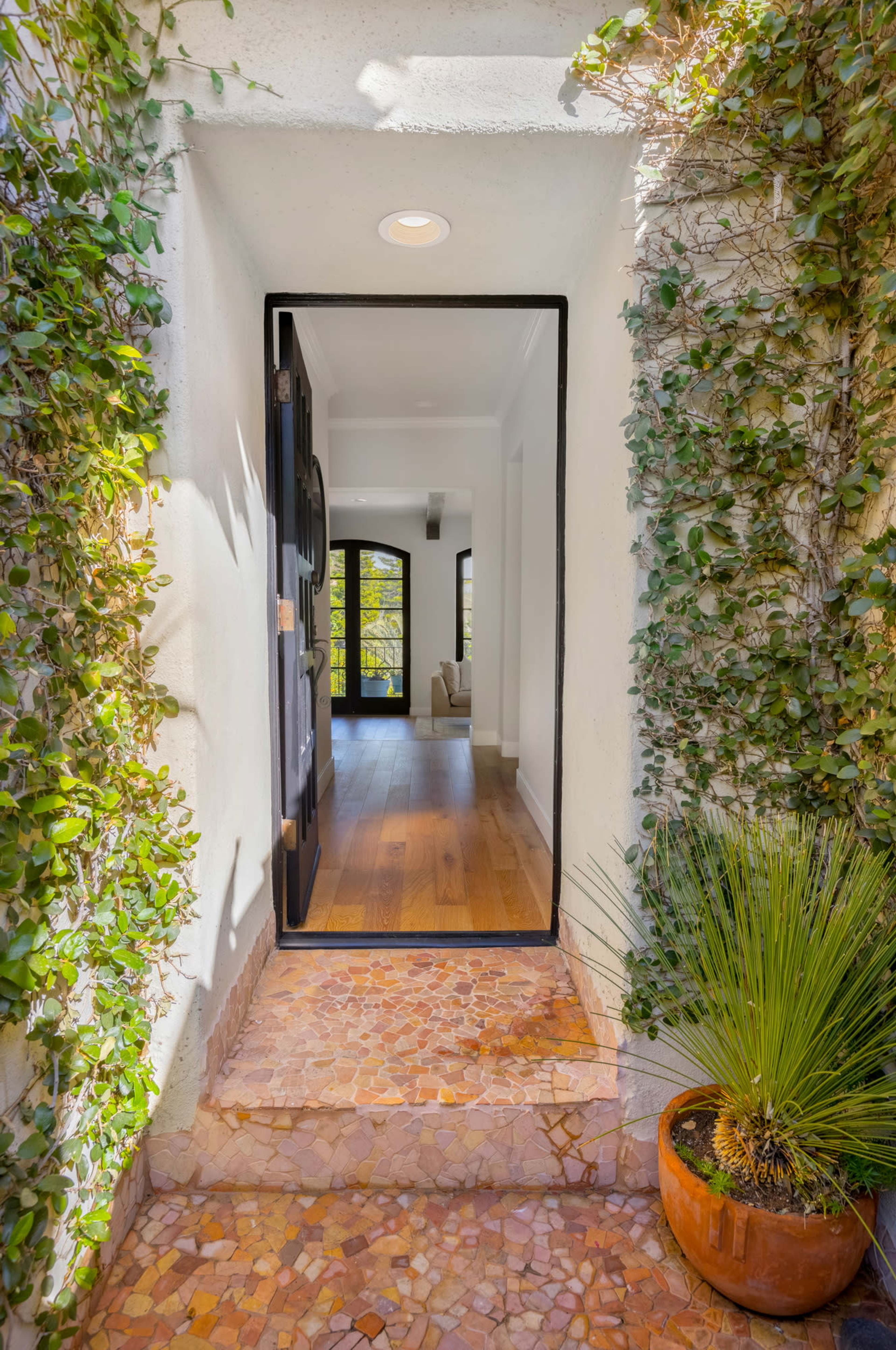 A pathway leads to an open door framed by greenery and a potted plant, revealing a glimpse of a well-lit interior.