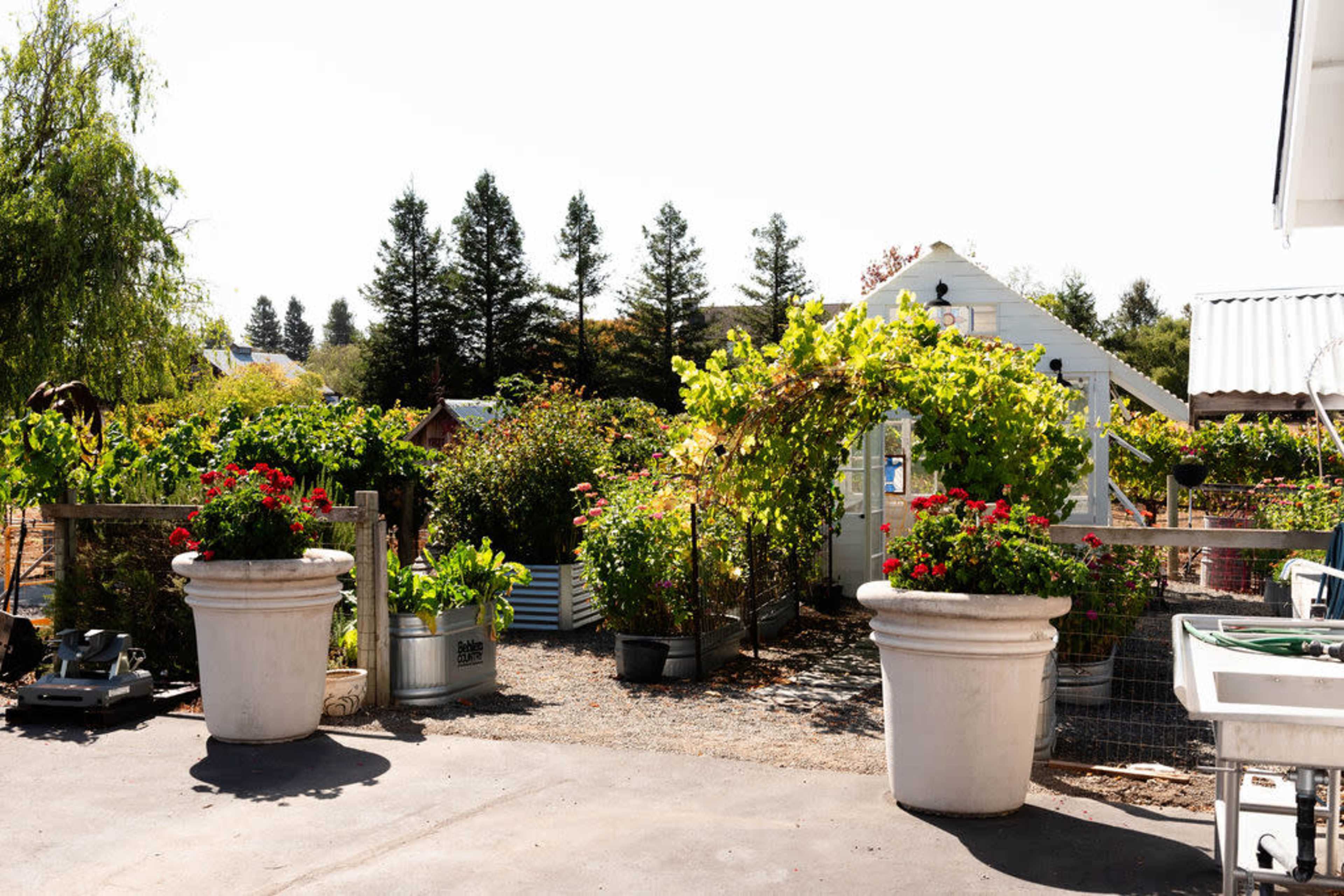 The scene depicts a garden area with various plants and flowers in large pots, along with a small building and tall trees in the background.