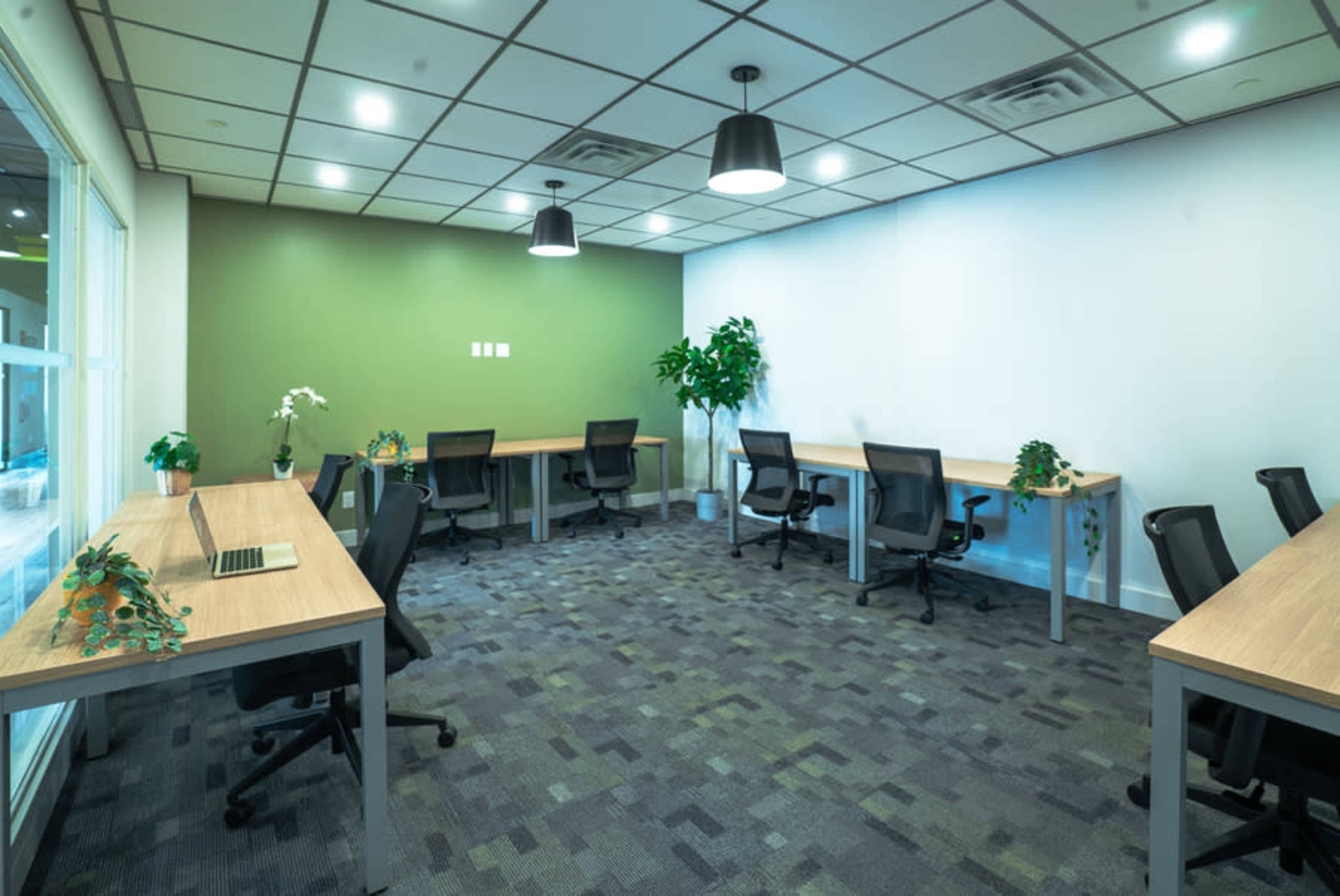 The image shows a modern office space with several desks, black office chairs, and greenery accents on the tables, featuring a combination of white and green walls.