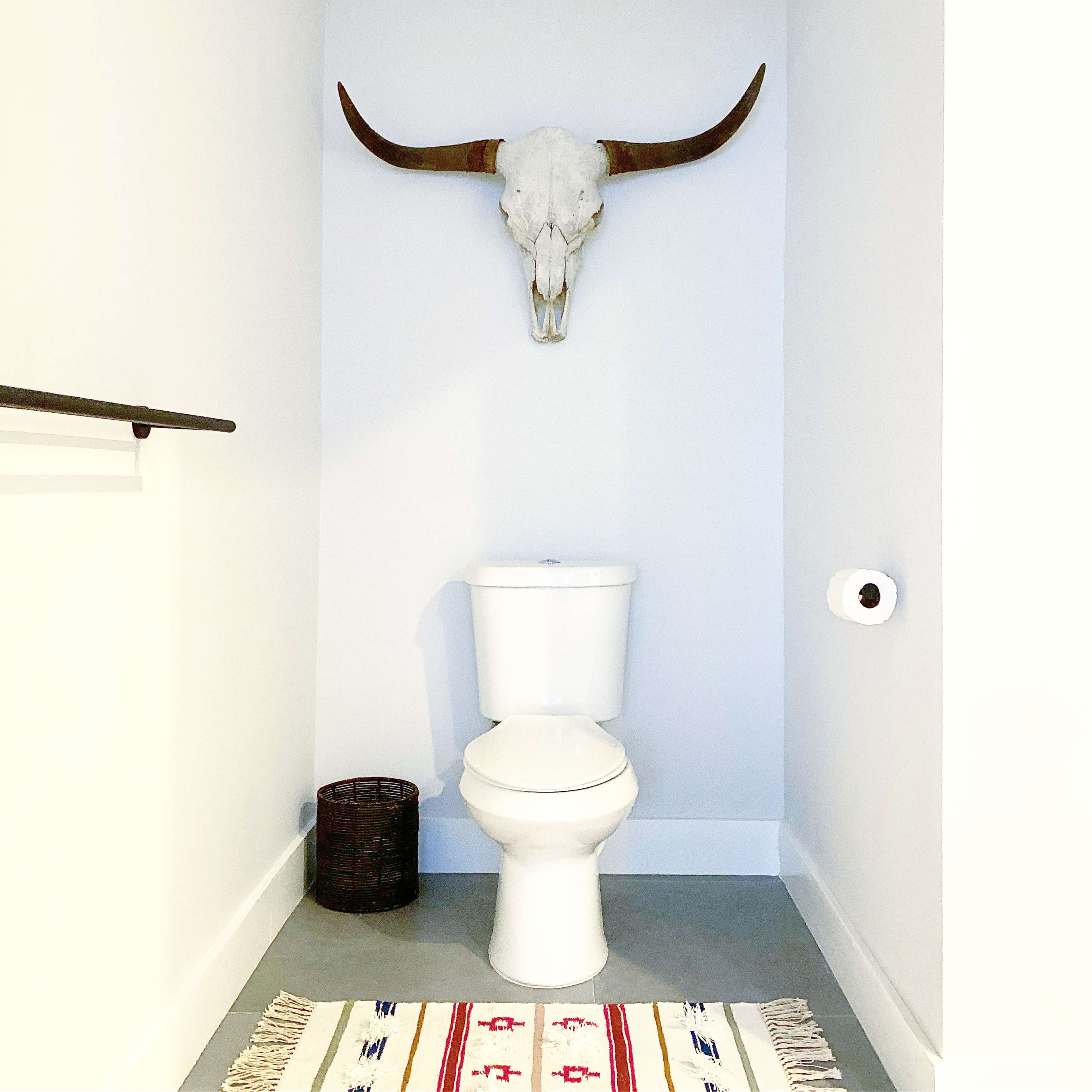 A white toilet is positioned against a plain wall, underneath a mounted bull skull, with a patterned rug and a waste basket nearby.