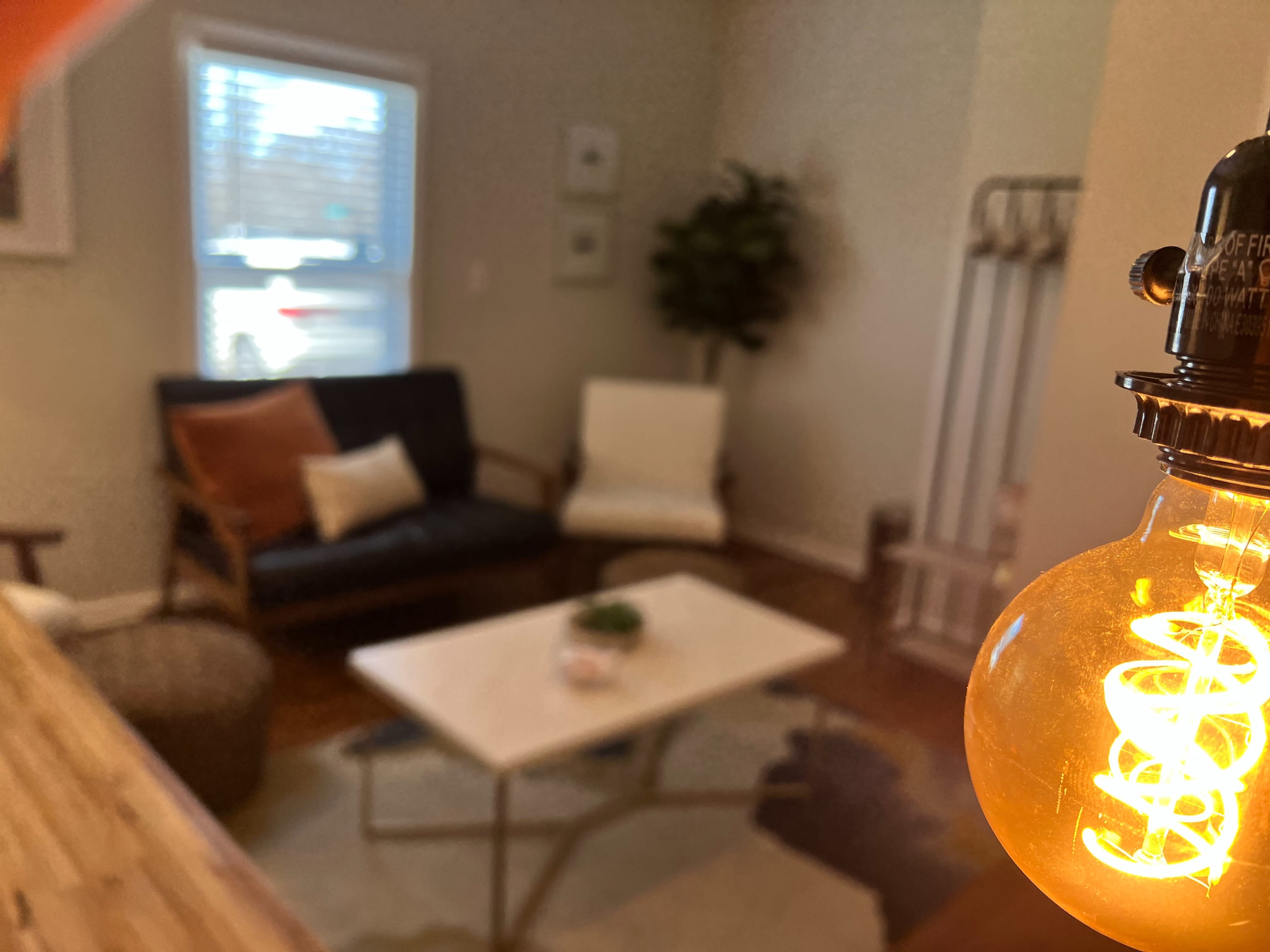 The image shows a living room with a coffee table in the center, surrounded by a sofa, chair, and a decorative plant.