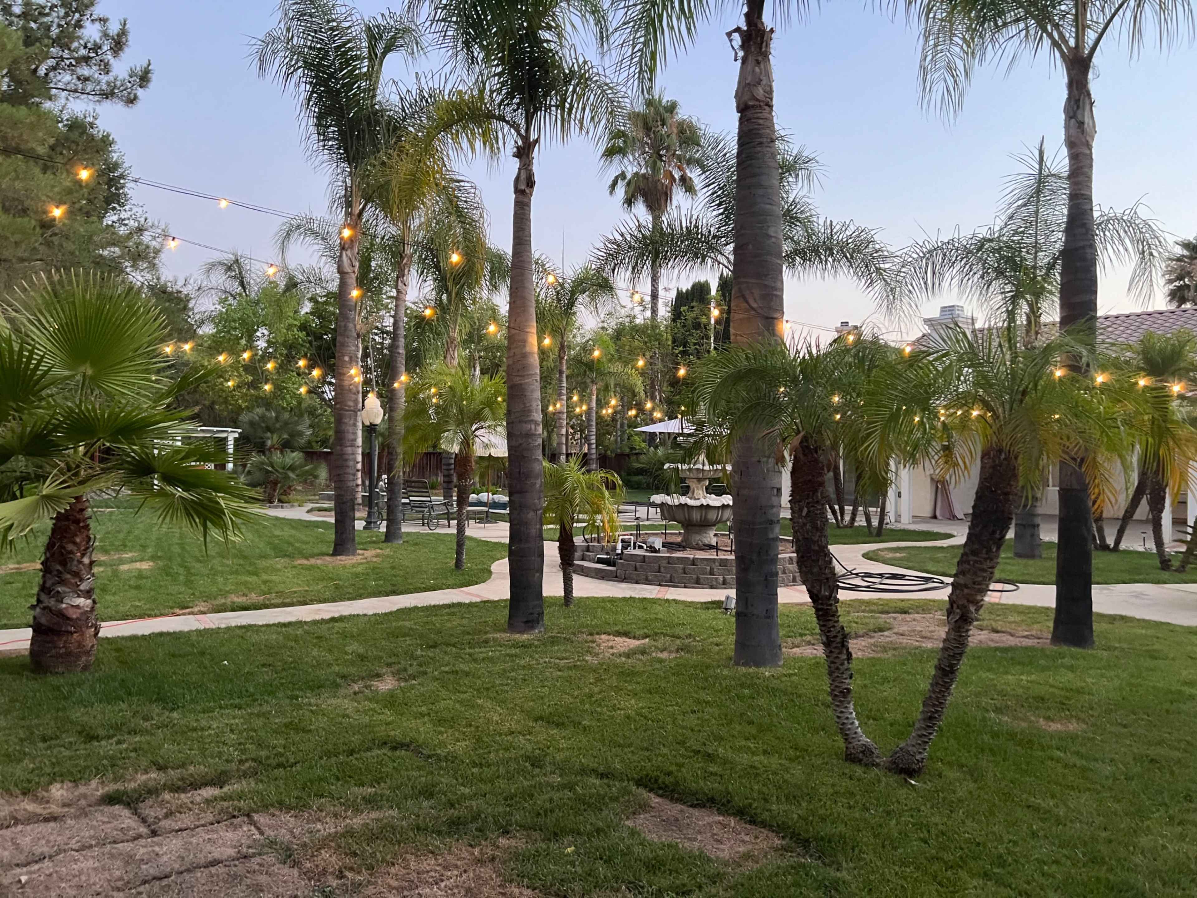 Beautiful Backyard Oasis Image in Murrieta, Murrieta, CA
