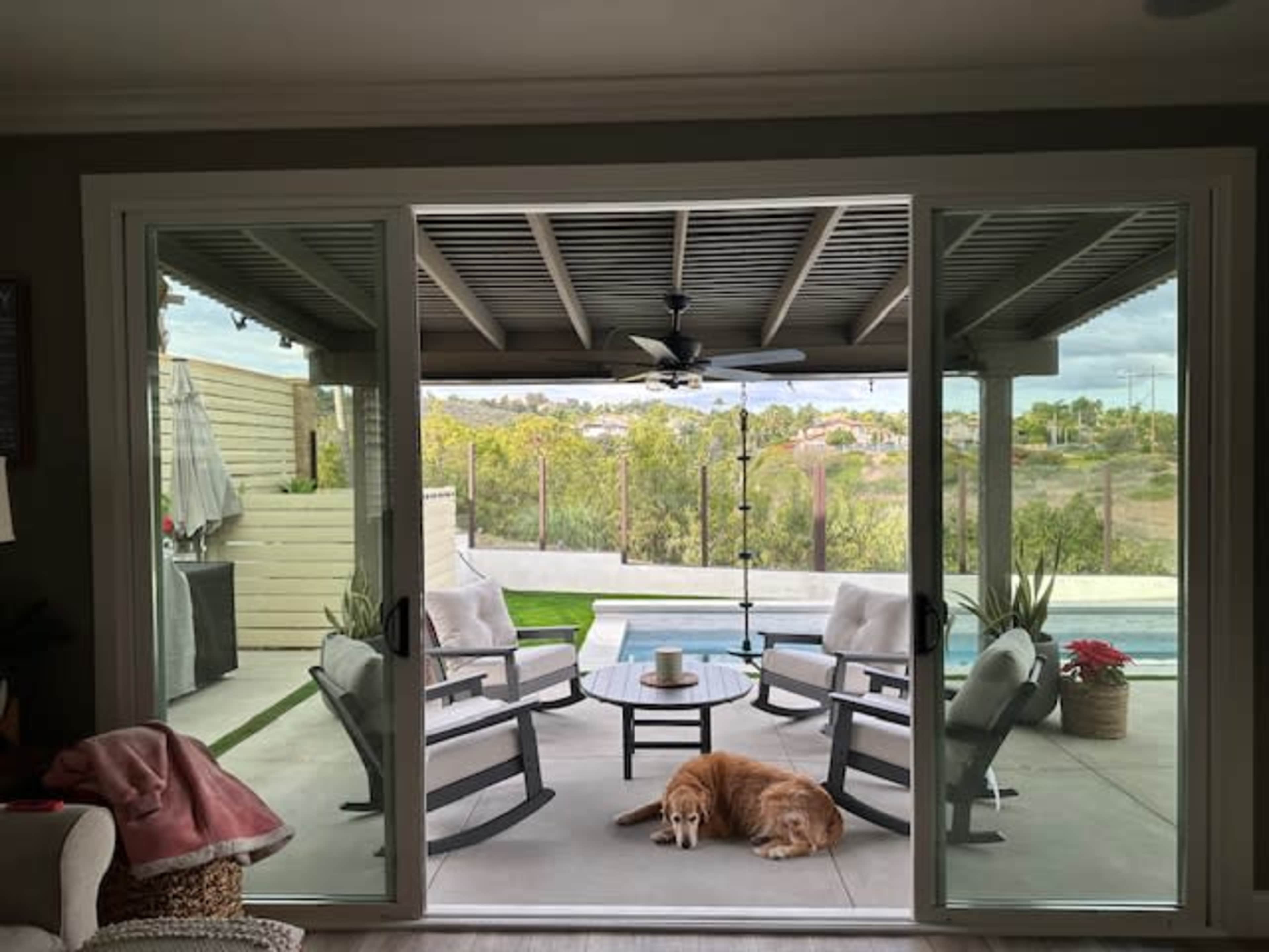 A golden retriever lies on the patio floor in front of a table and chairs, with a pool and greenery visible in the background.