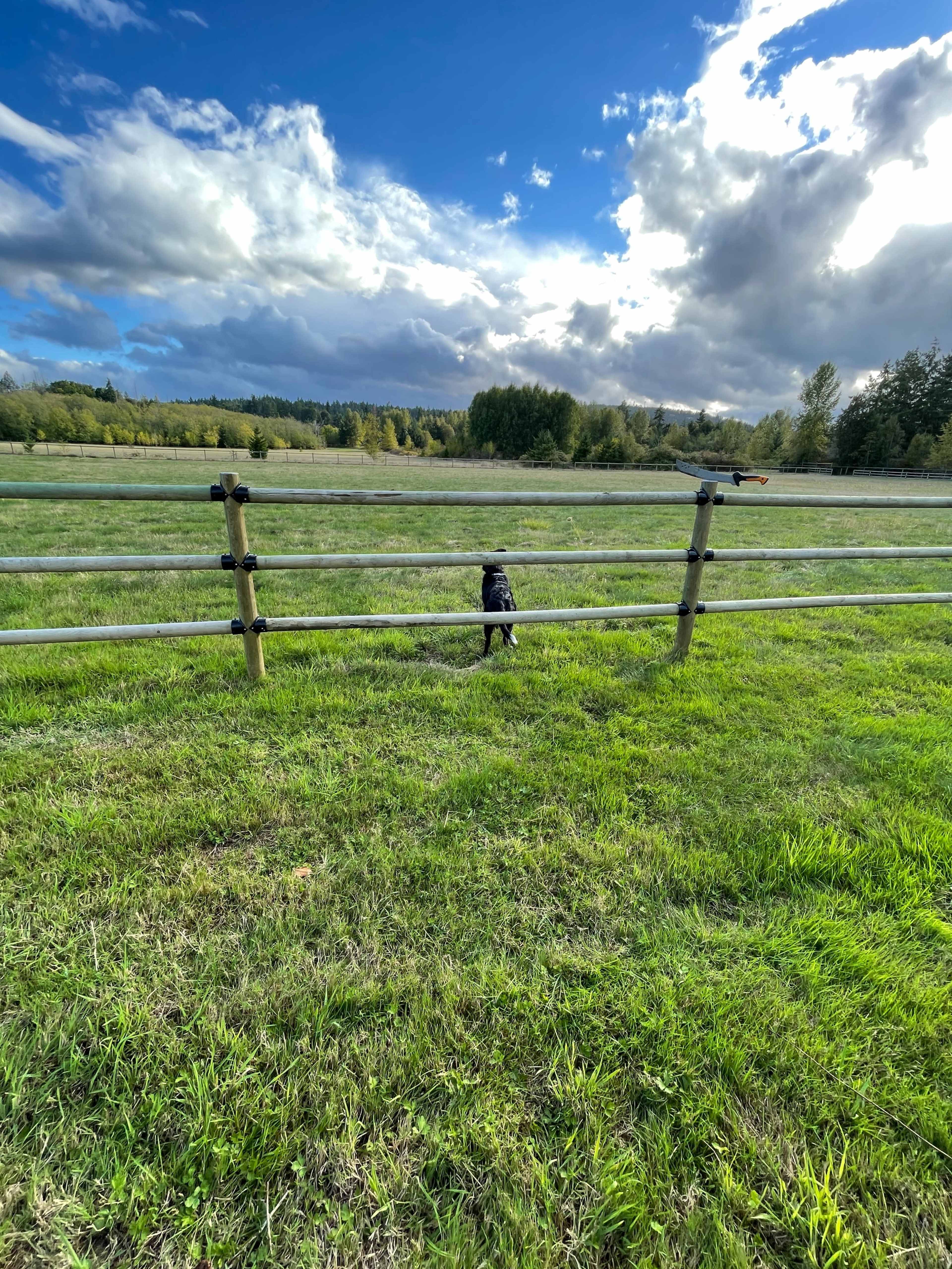 A black dog stands at a wooden fence, looking out over a grassy field under a partly cloudy sky.