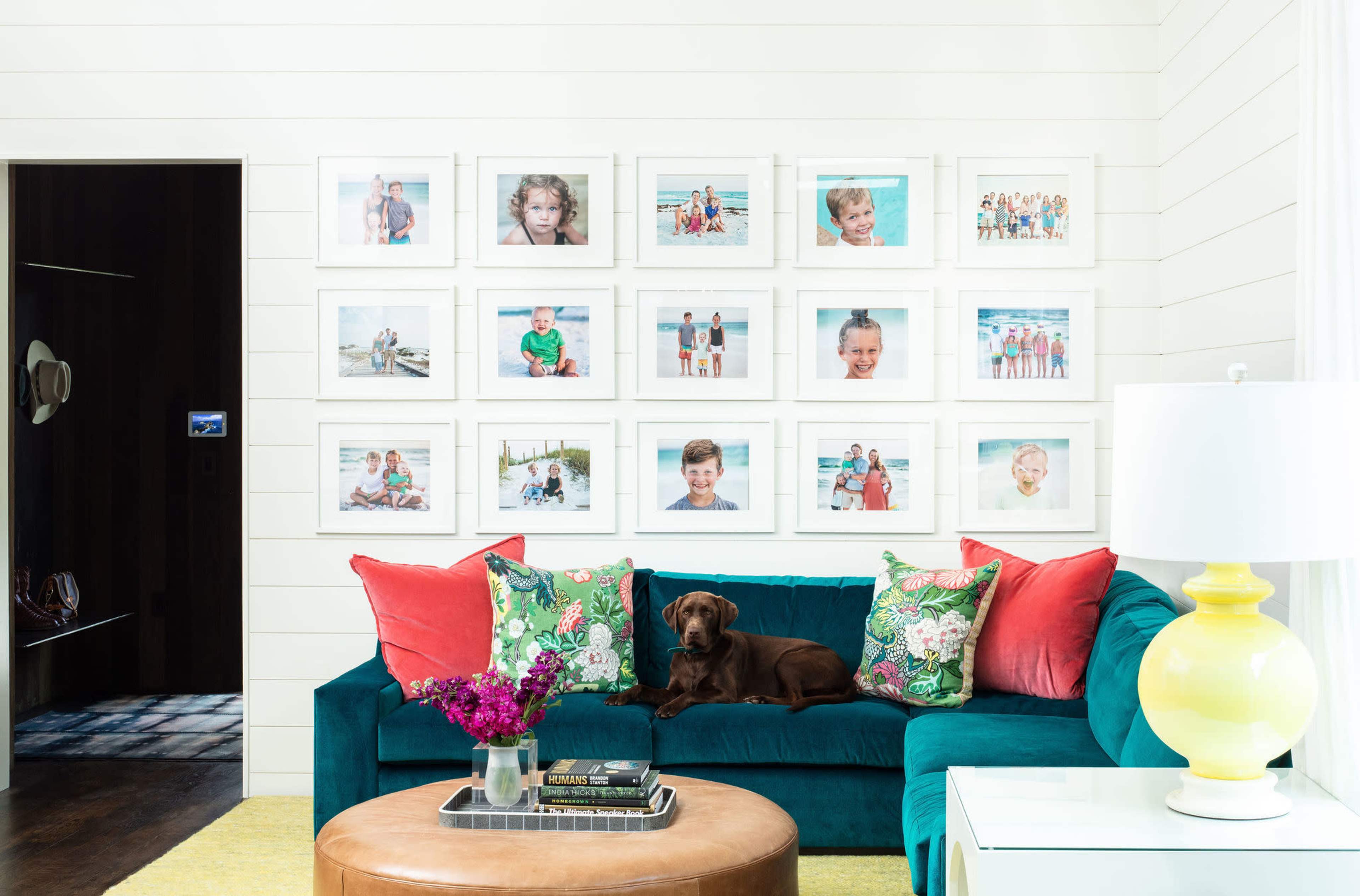 A chocolate lab lies on a teal couch adorned with colorful pillows, while a gallery wall of framed photos hangs above, showcasing various children's portraits.