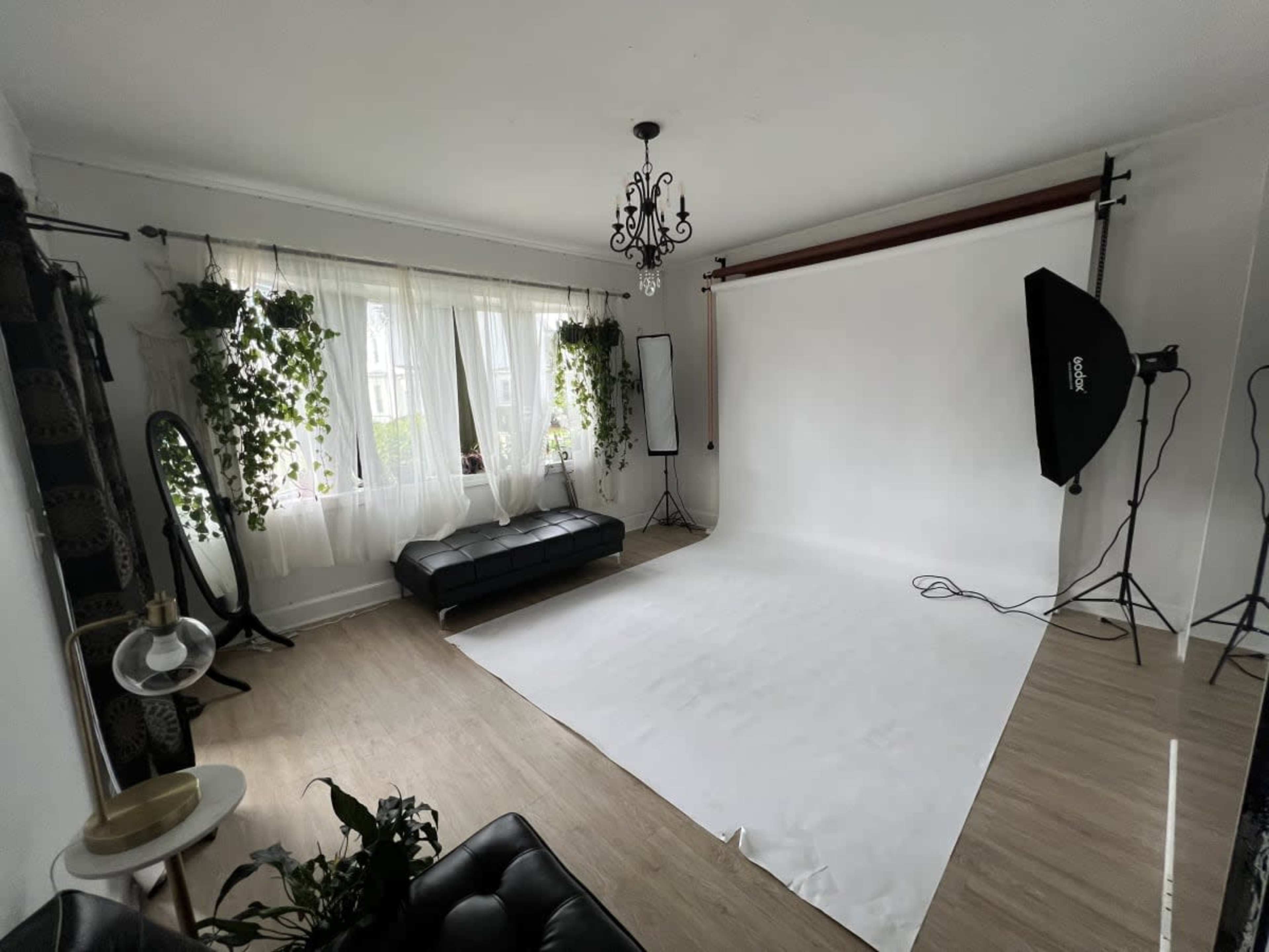 A bright photography studio with a white backdrop, green plants, a black sofa, and a large softbox lighting setup.