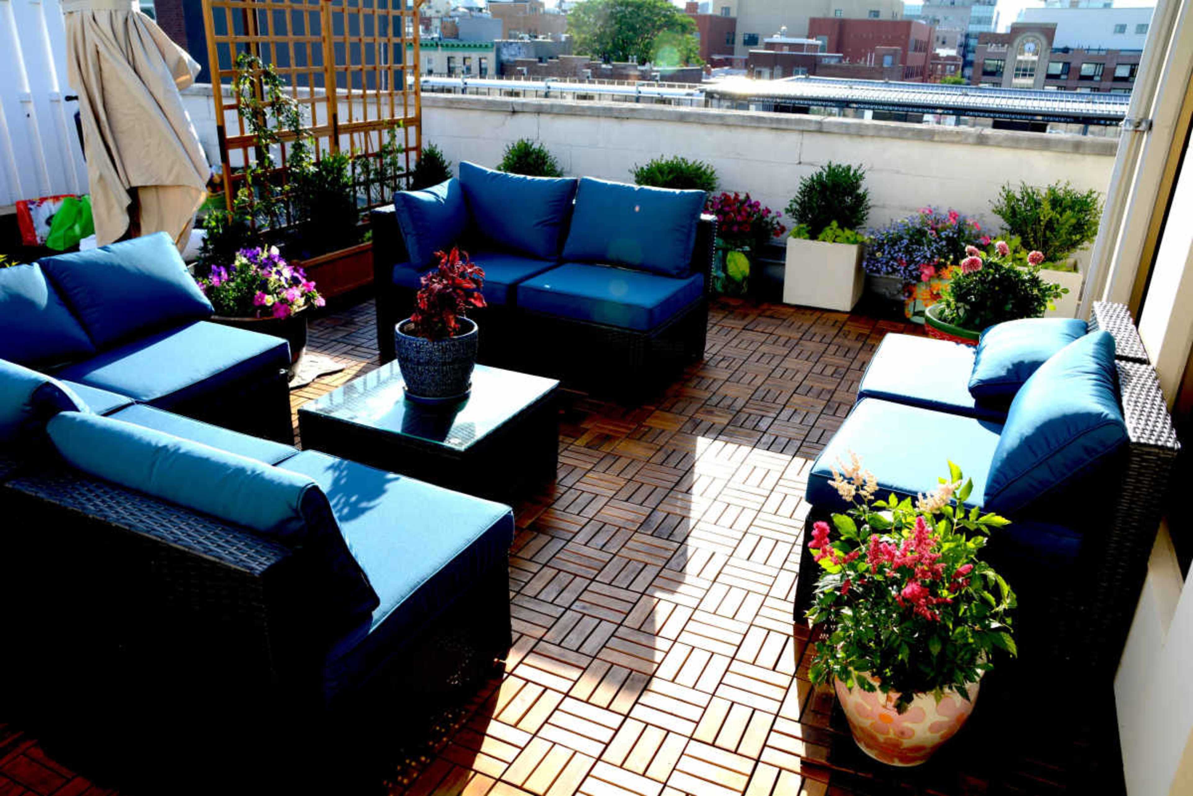 The image shows a rooftop terrace furnished with blue cushioned seating, a coffee table, and various potted plants.