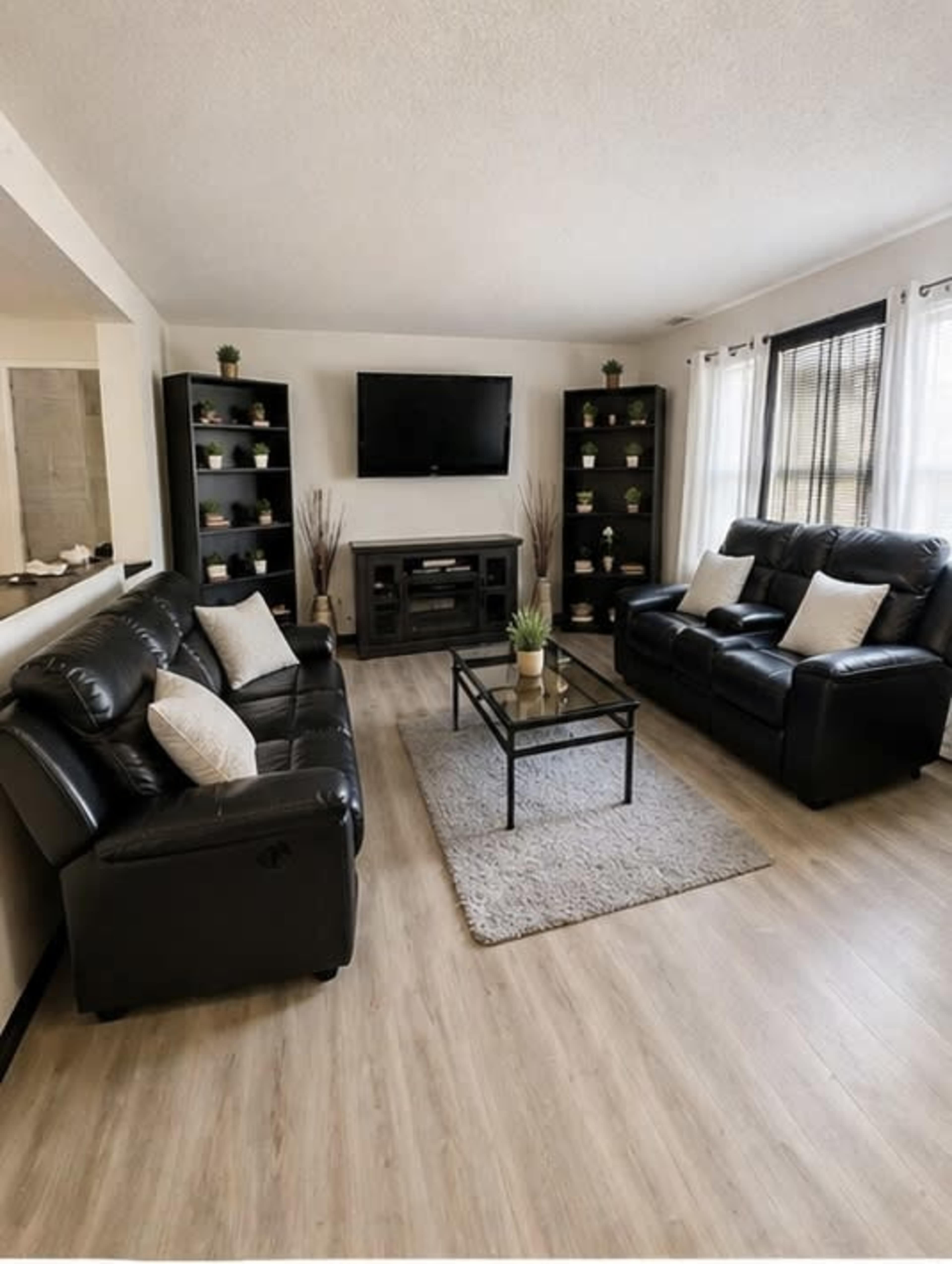 The living room features two black leather sofas facing a glass coffee table on a light gray rug, with shelves on either side displaying potted plants and a wall-mounted TV.