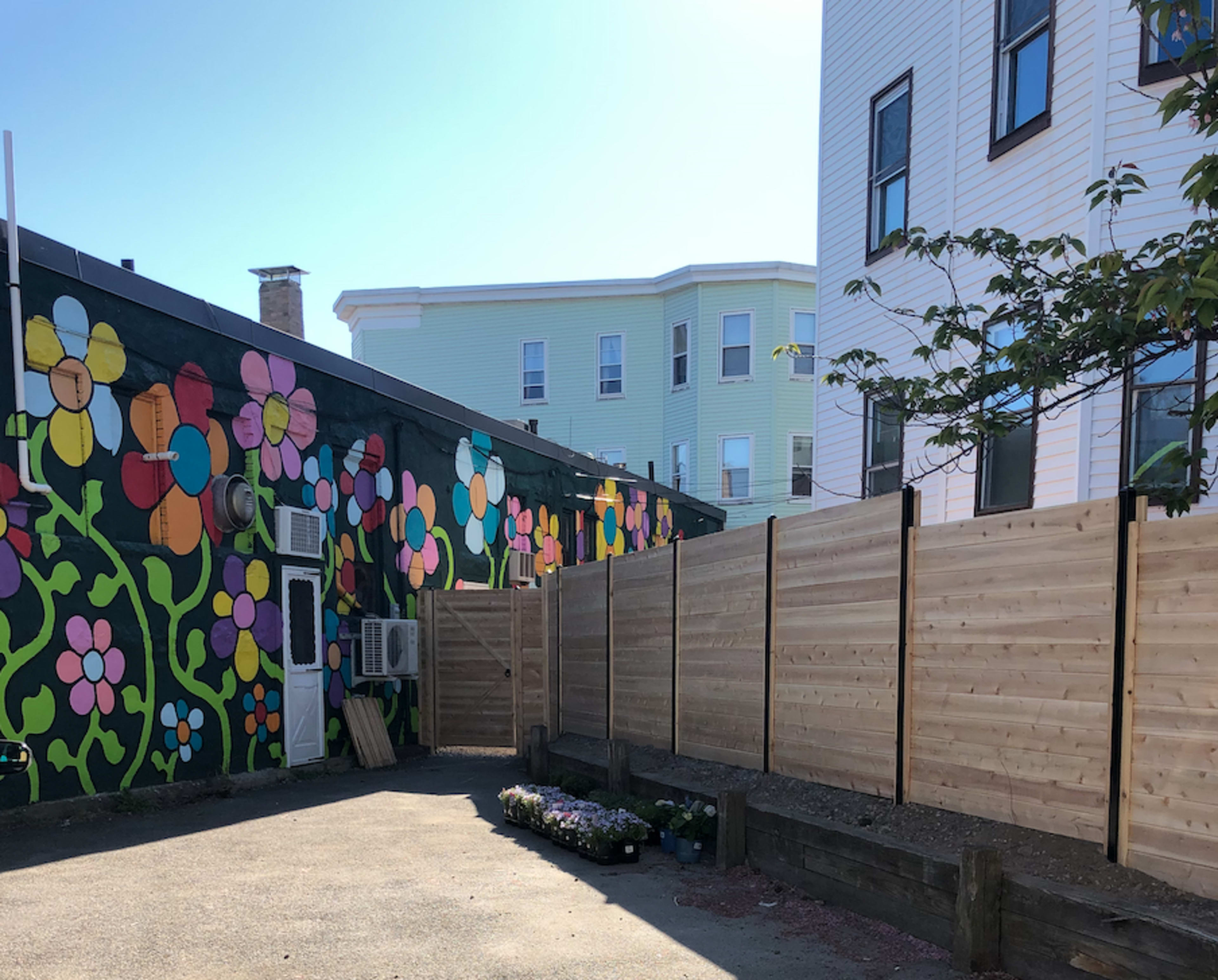 A colorful mural featuring flowers is painted on a building wall adjacent to a wooden fence in an alleyway surrounded by residential properties.