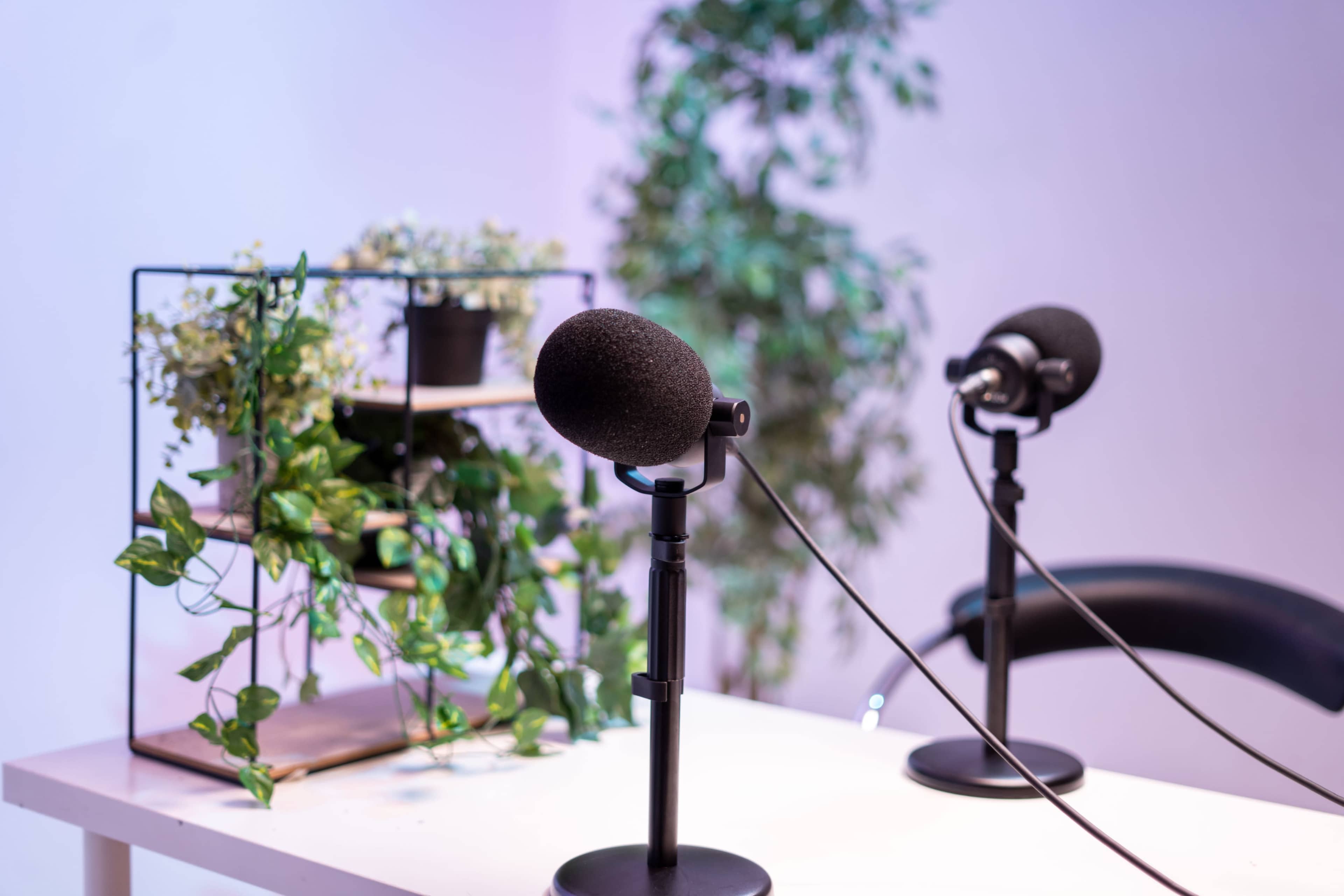 The image shows two microphones on stands positioned on a table with plants in the background.