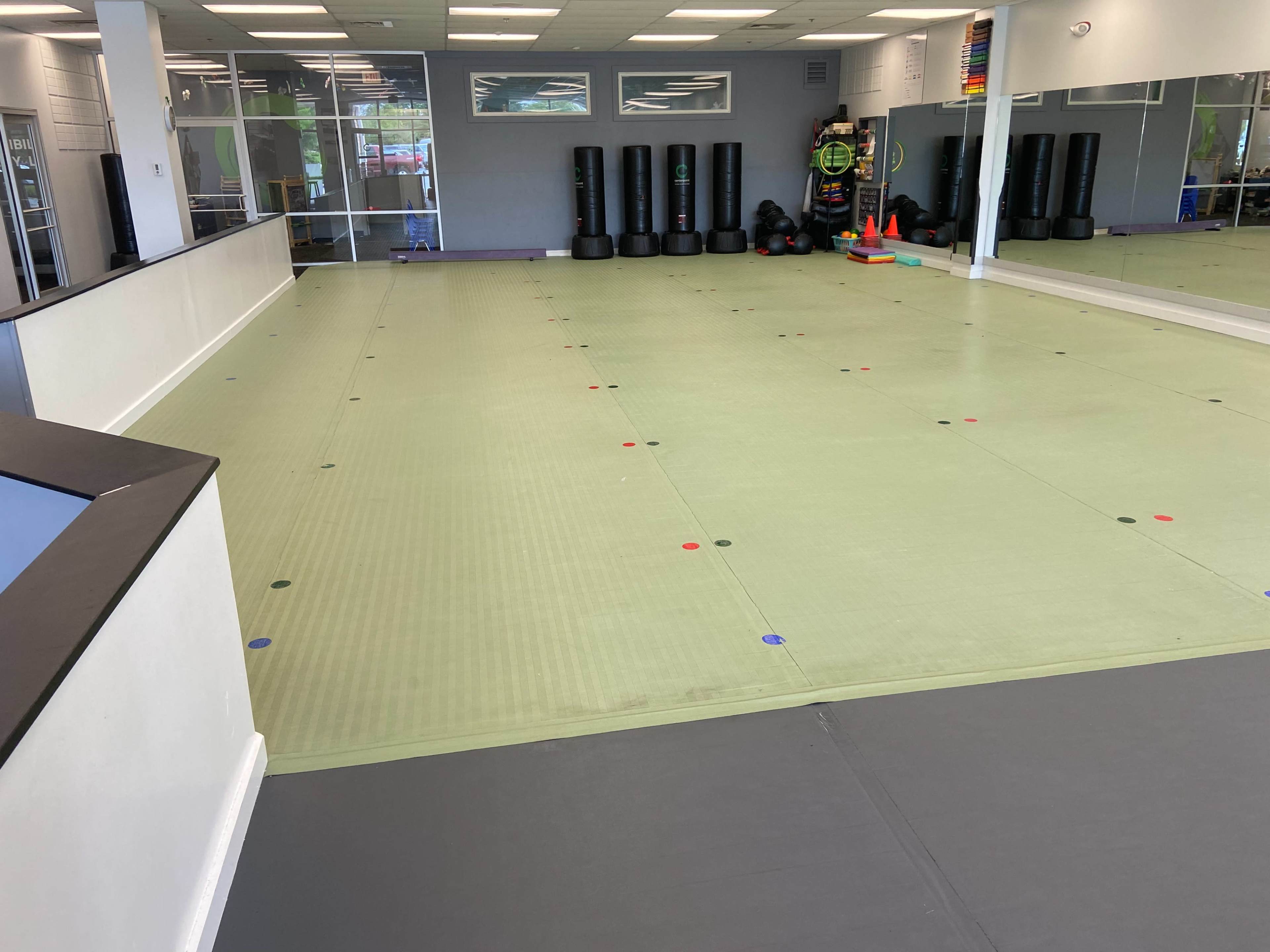 An empty training studio with a green mat, various training equipment along the walls, and large mirrors reflecting the space.