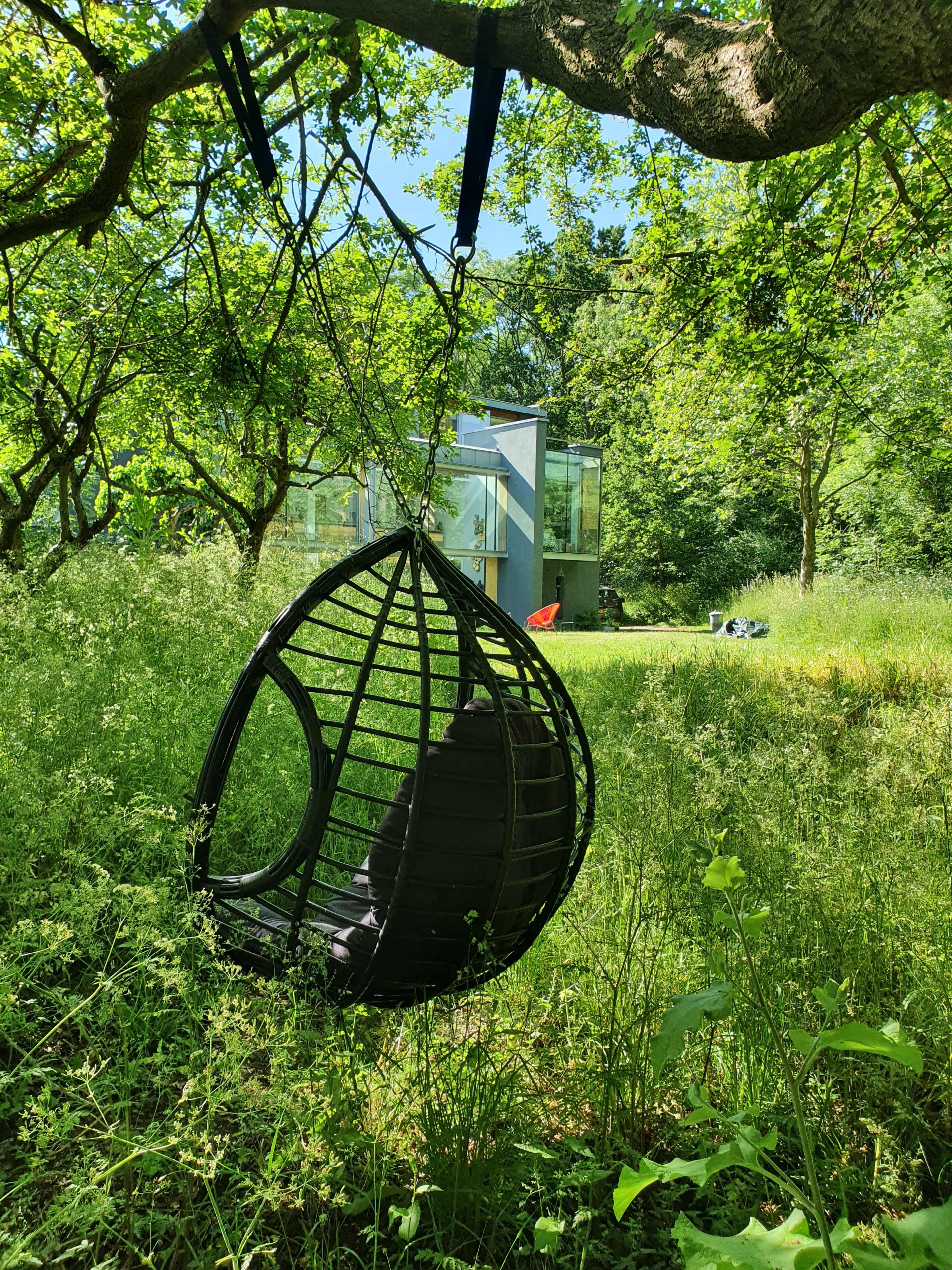 A black hanging chair is suspended from a tree branch in a lush, green garden, with a modern glass structure visible in the background.
