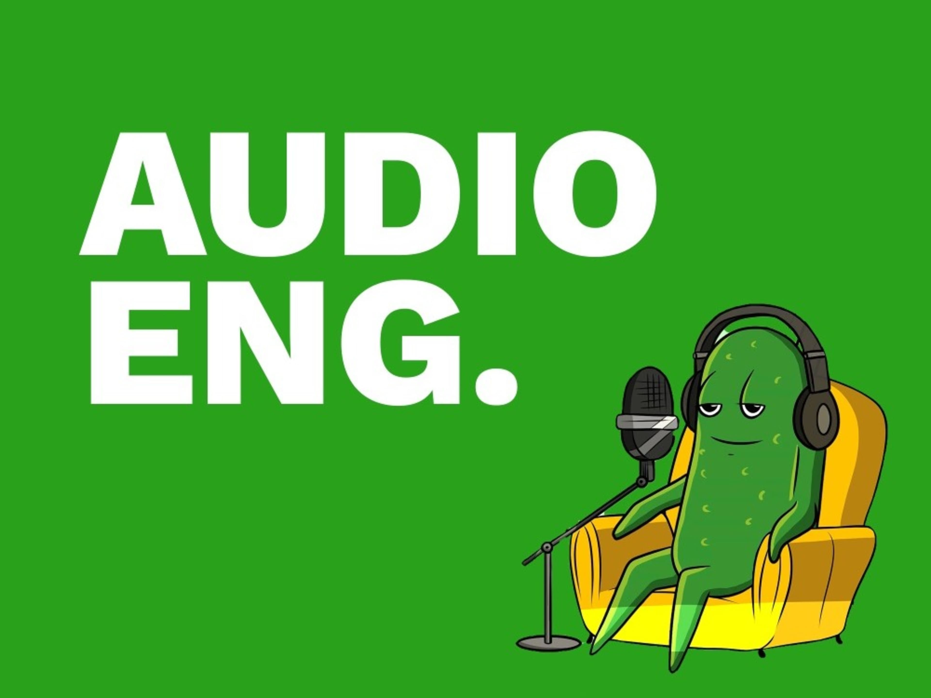 Audio Engineer