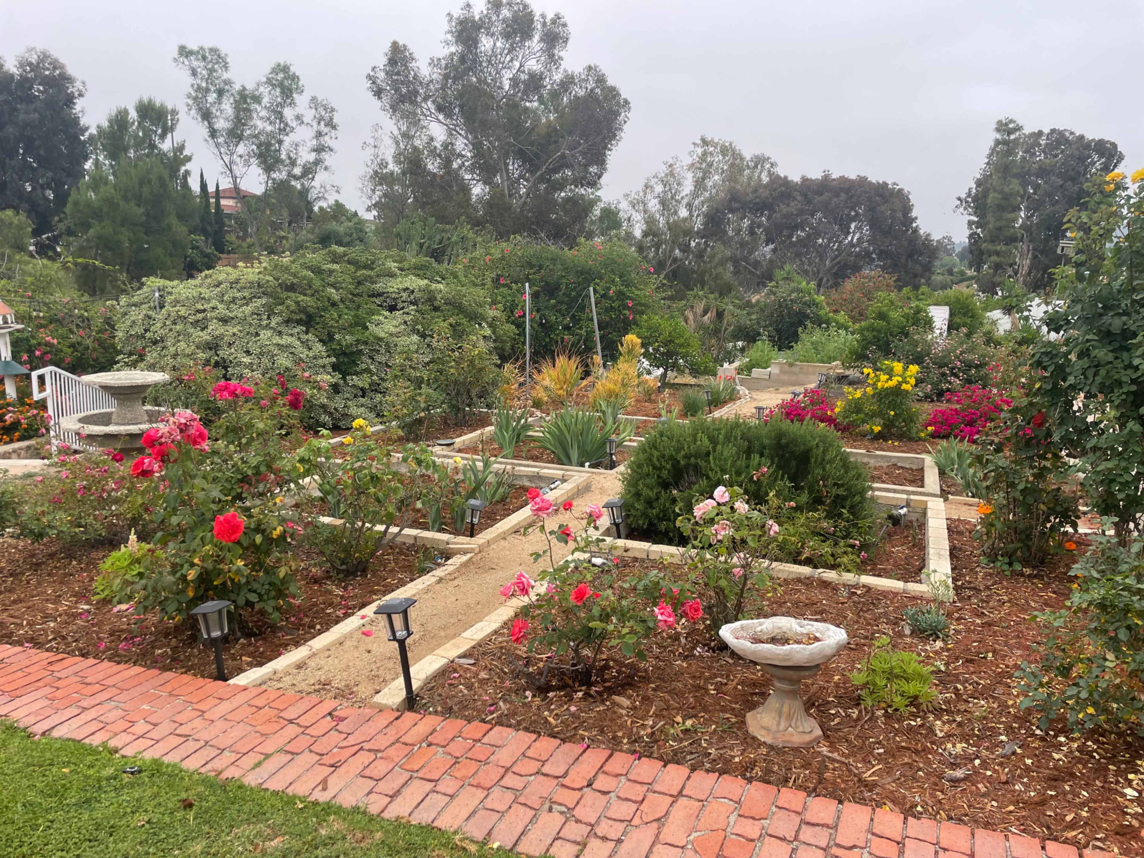 Casa Colibri Gardens, Orchard and grapevines for work/events in Fletcher Hills Image in El Cajon, El Cajon, CA