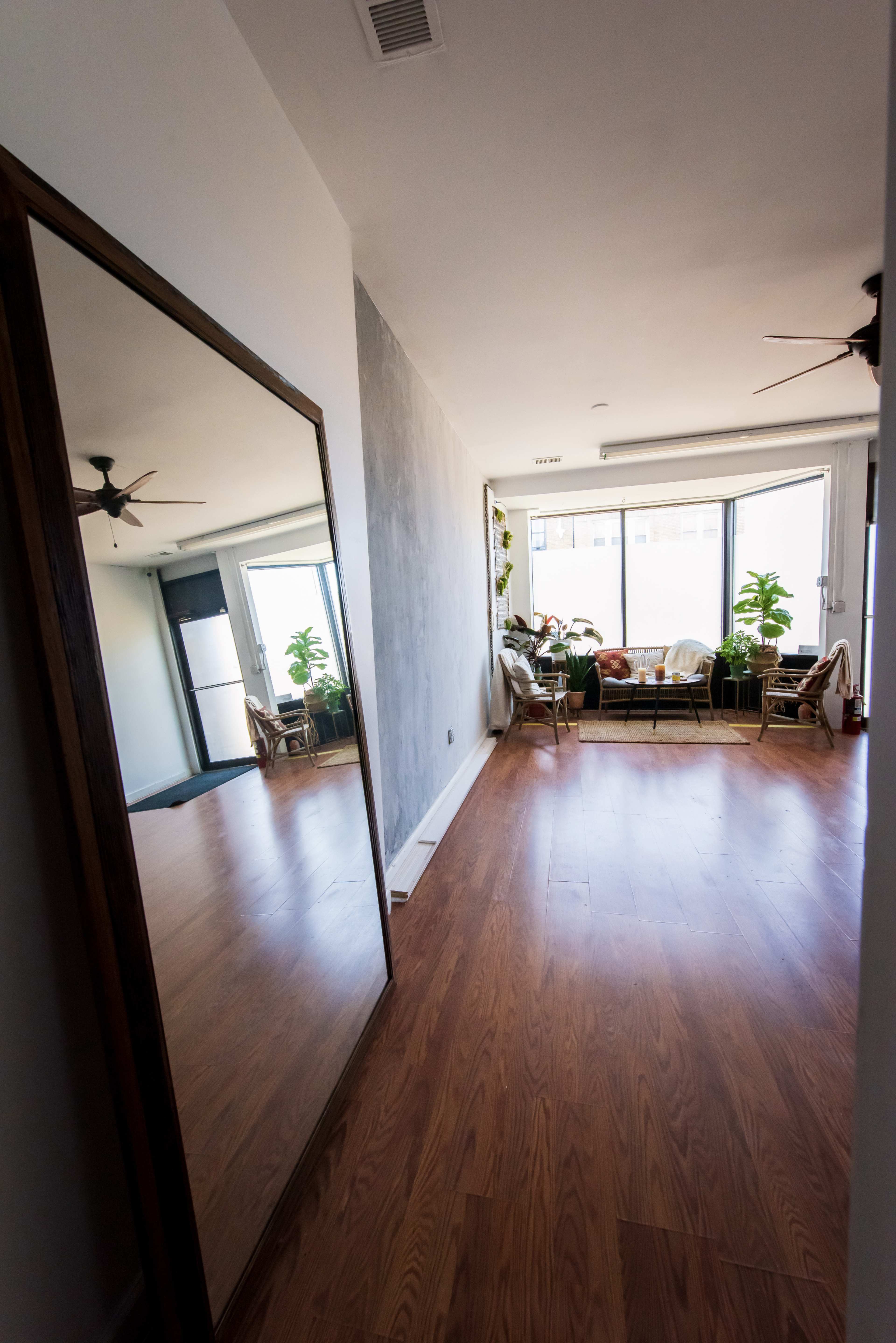 A well-lit room featuring a large mirror, wooden flooring, and plants near a window.